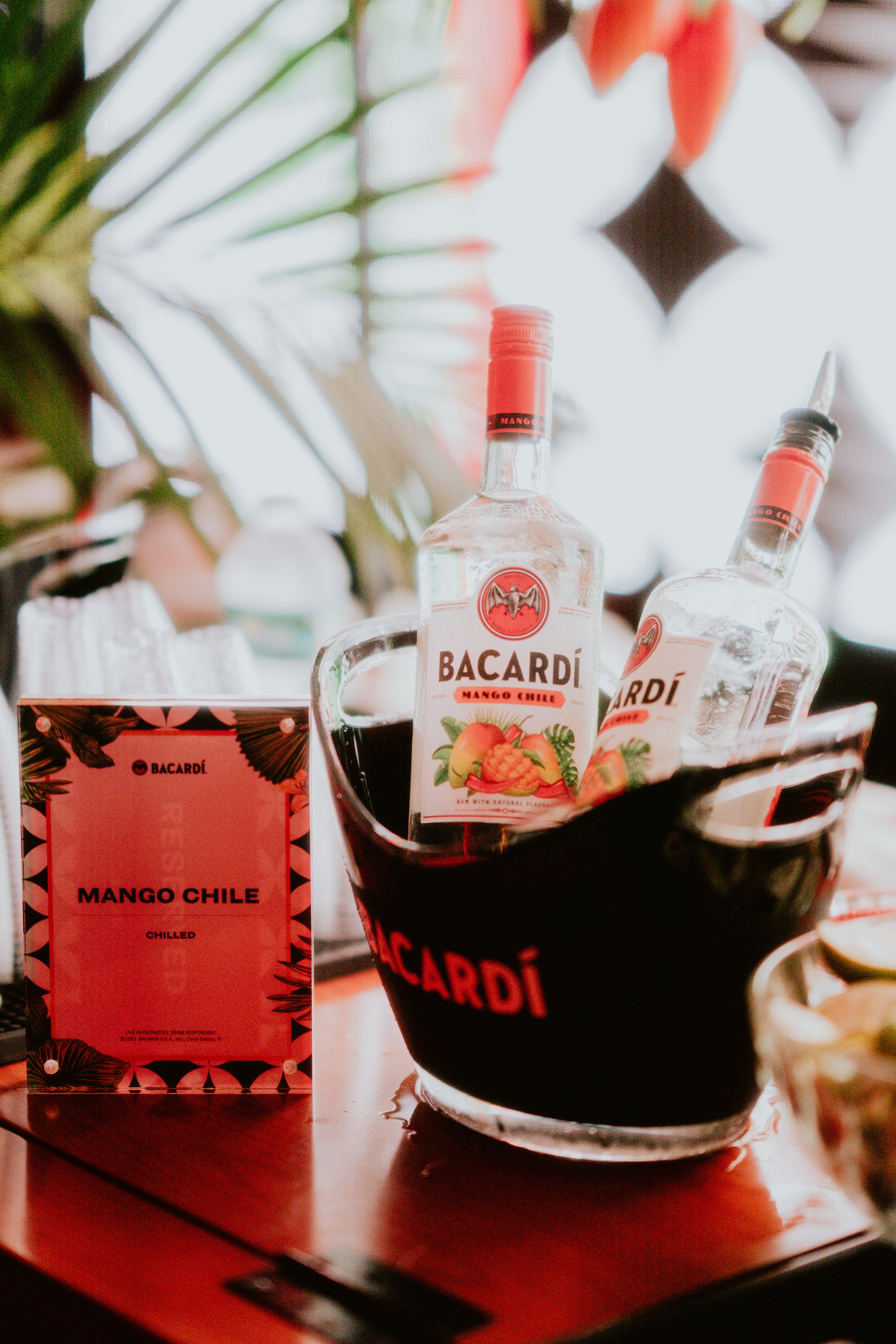Tumbao X Bacardi_-65.jpg