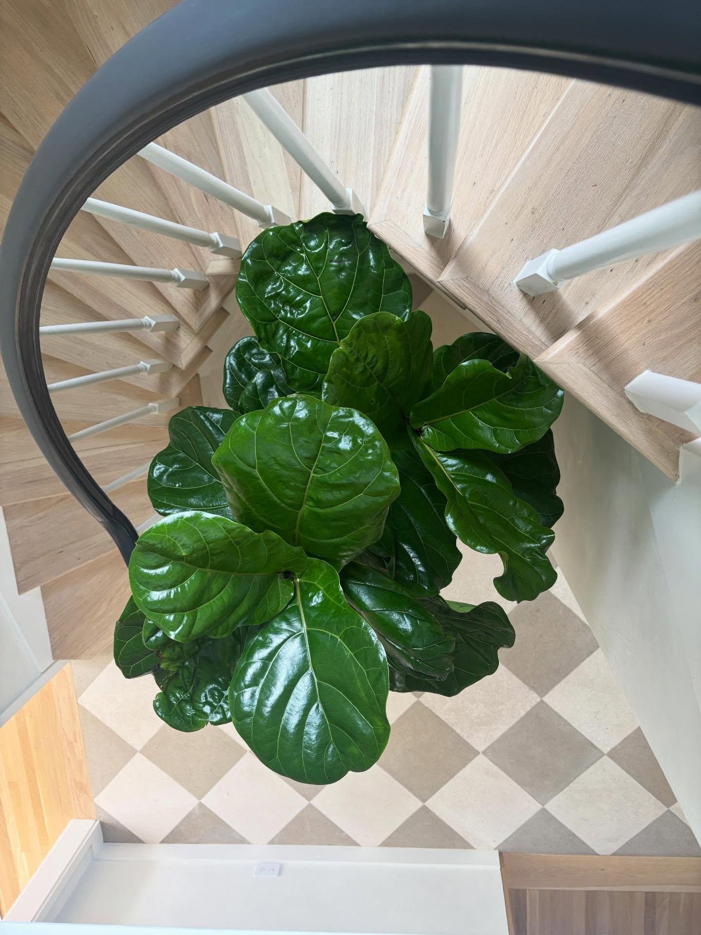 What an amazing home!✨
There is just something about the light in this River Oaks home that feels like a deep breath. From the serene dining nook to the sweep of the grand staircase, every single detail is impeccable.

And you know I&rsquo;m a fan of