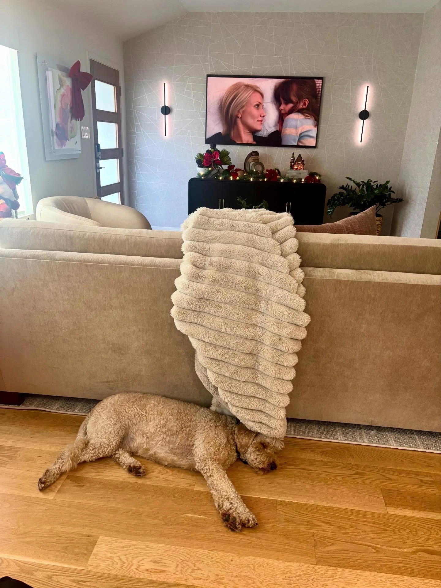 The Holiday on the screen, a sleeping pup at our feet, and nowhere else we&rsquo;d rather be. Wishing you all a calm, cozy, and joyful holiday season from our home to yours. ✨🎄🏡

#TheHoliday #CozyHome #HolidayMood #ChristmasVibes #HolidayMagic