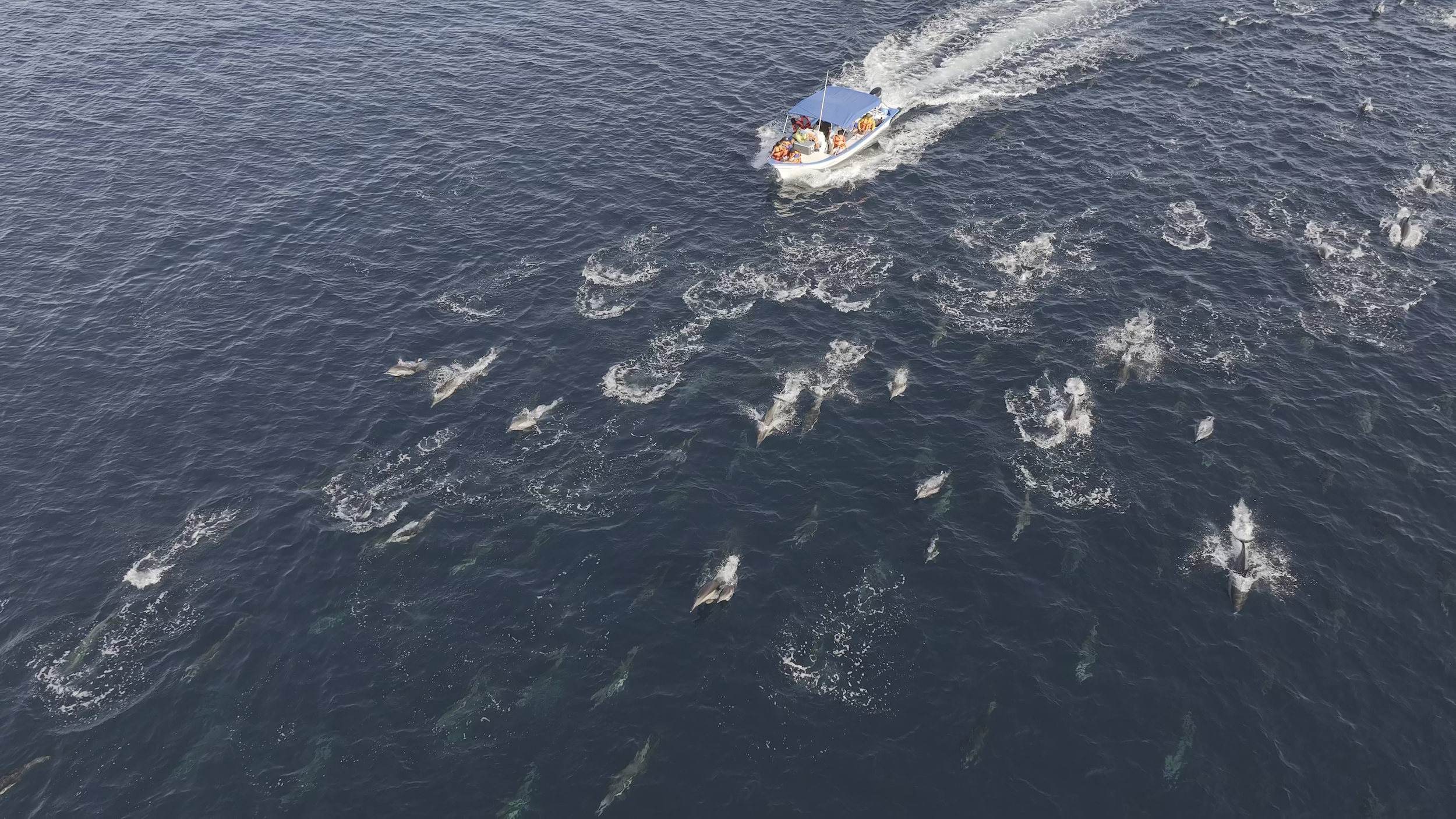 La Ventana Snorkel Tour