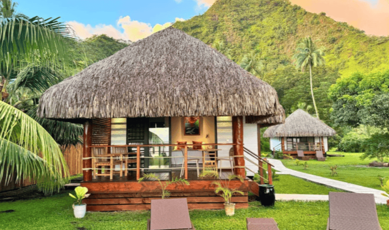 Baja-Wild-Encounters-French polynesia-secret-location-accommodation