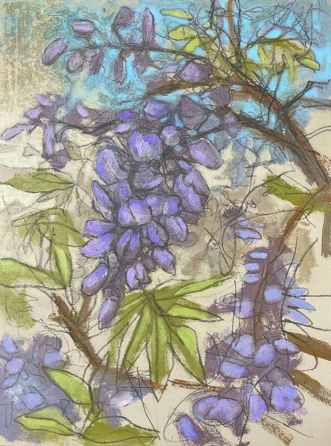 Purple Wisteria