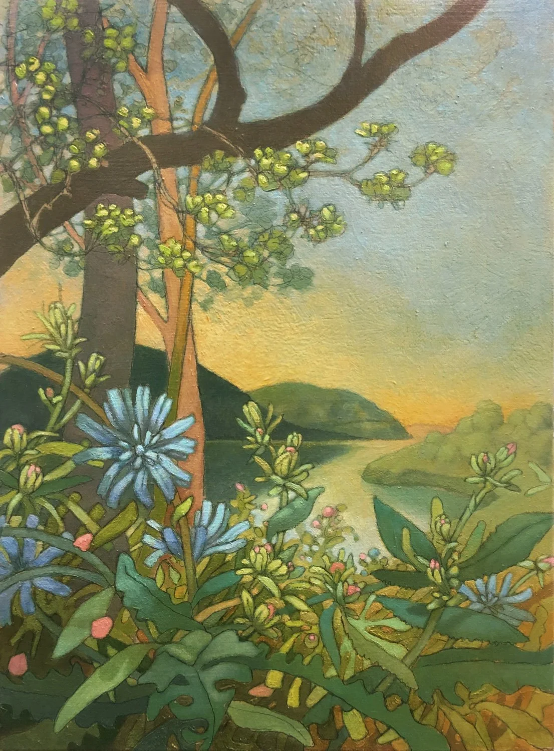 Looking North from Coldspring-1500h-radoccia.jpg