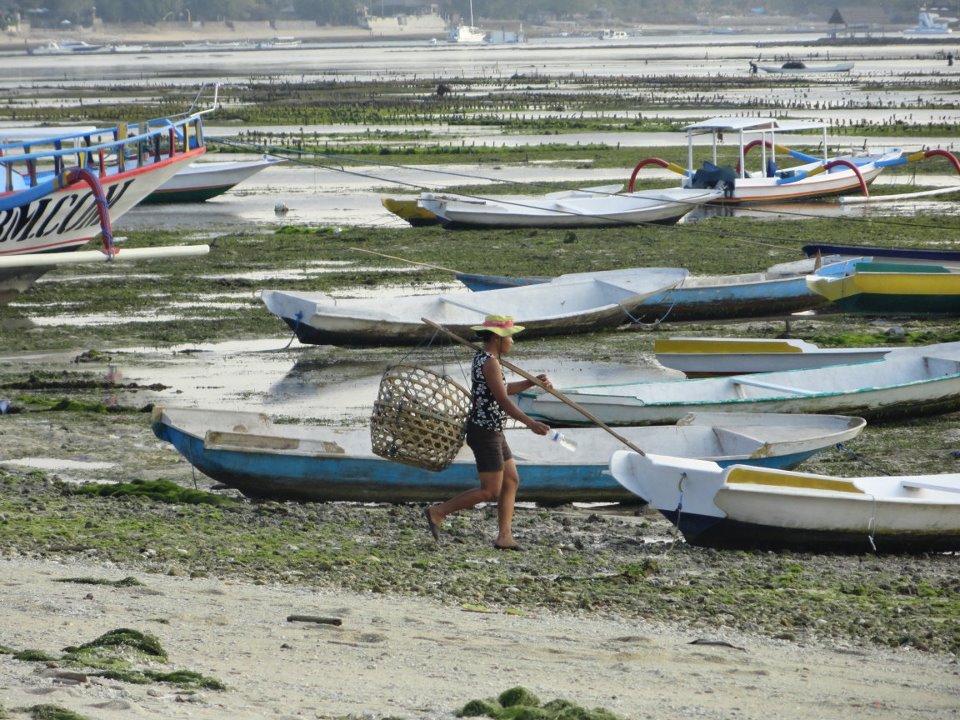 Low-tide-Nusa-Lembongan.jpg