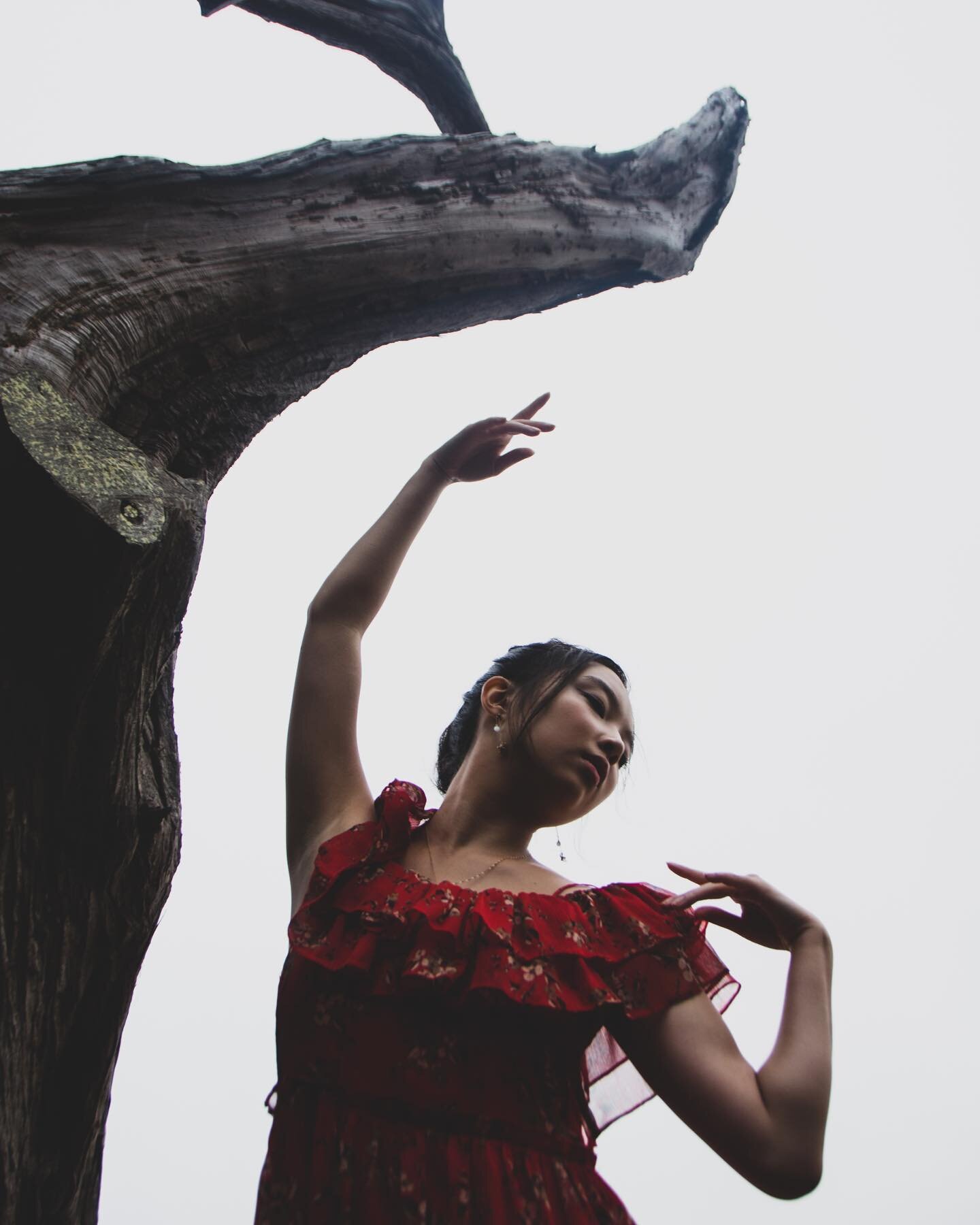 Lydia came home 🪽

-
-
-
#photography #dance #ballet #sanfrancisco #bayarea #movement #dancephotography #editorial #editorialphotography #editorialdesign #fashionphotography #portraitphotography