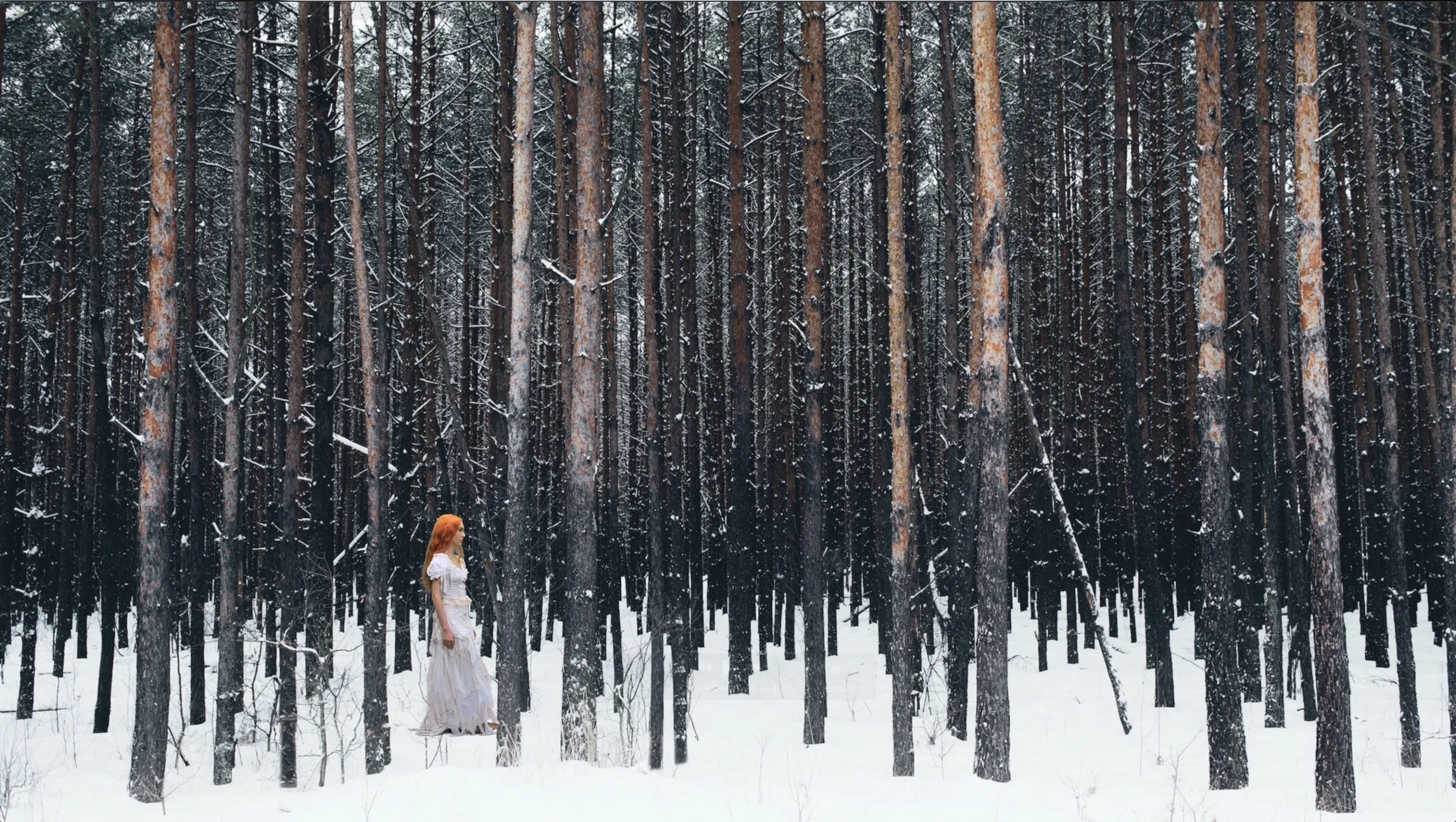 Screenshot 2026-01-21 at 7.11.47 PM.jpg