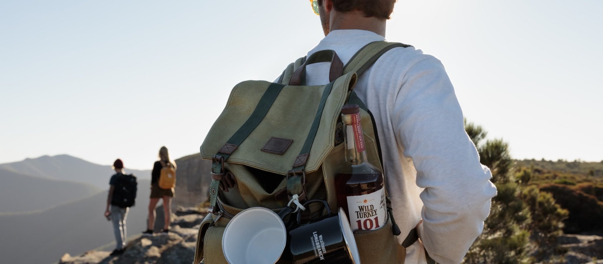 Wild Turkey.jpg