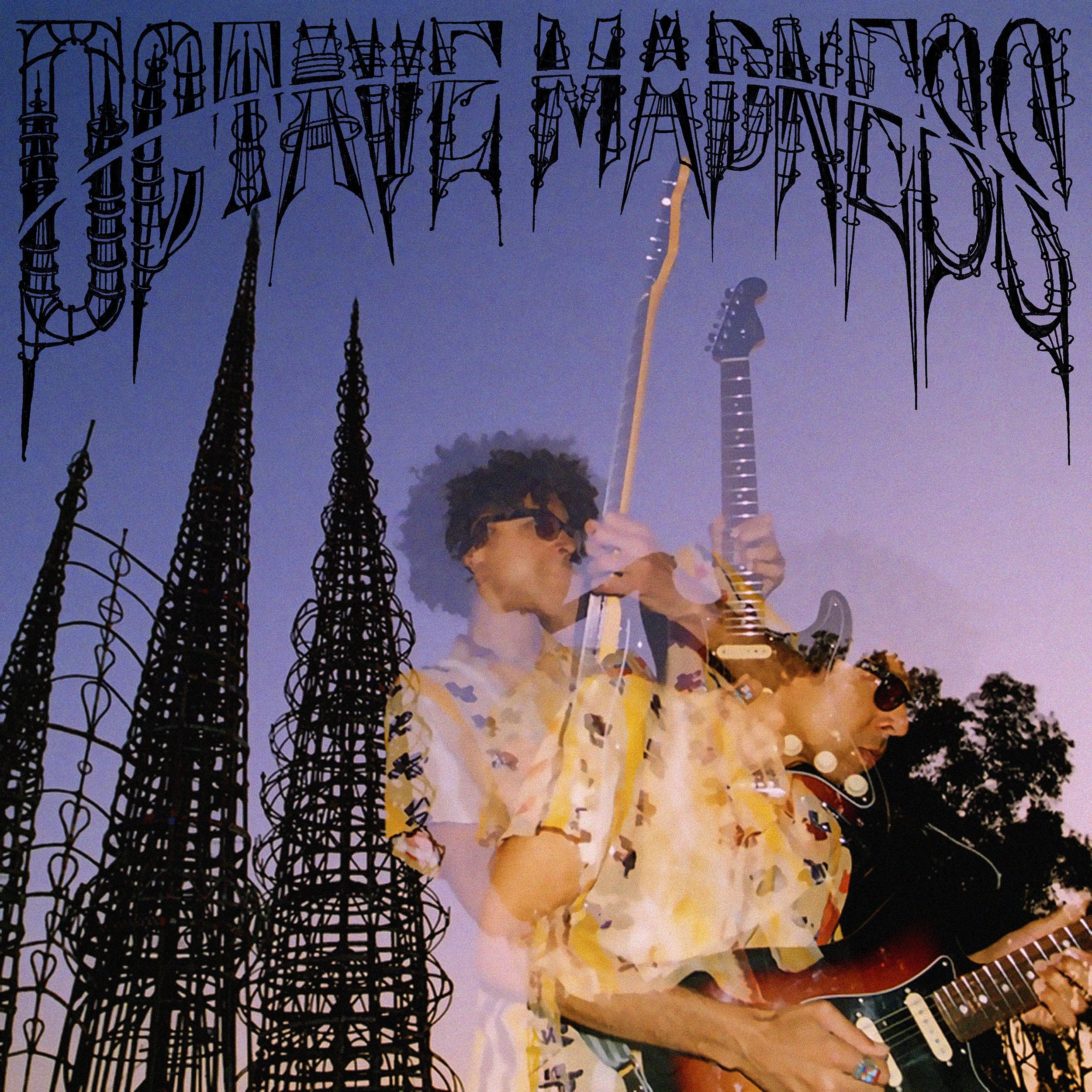 BIG036_Detangler_Octave-Madness-.jpg