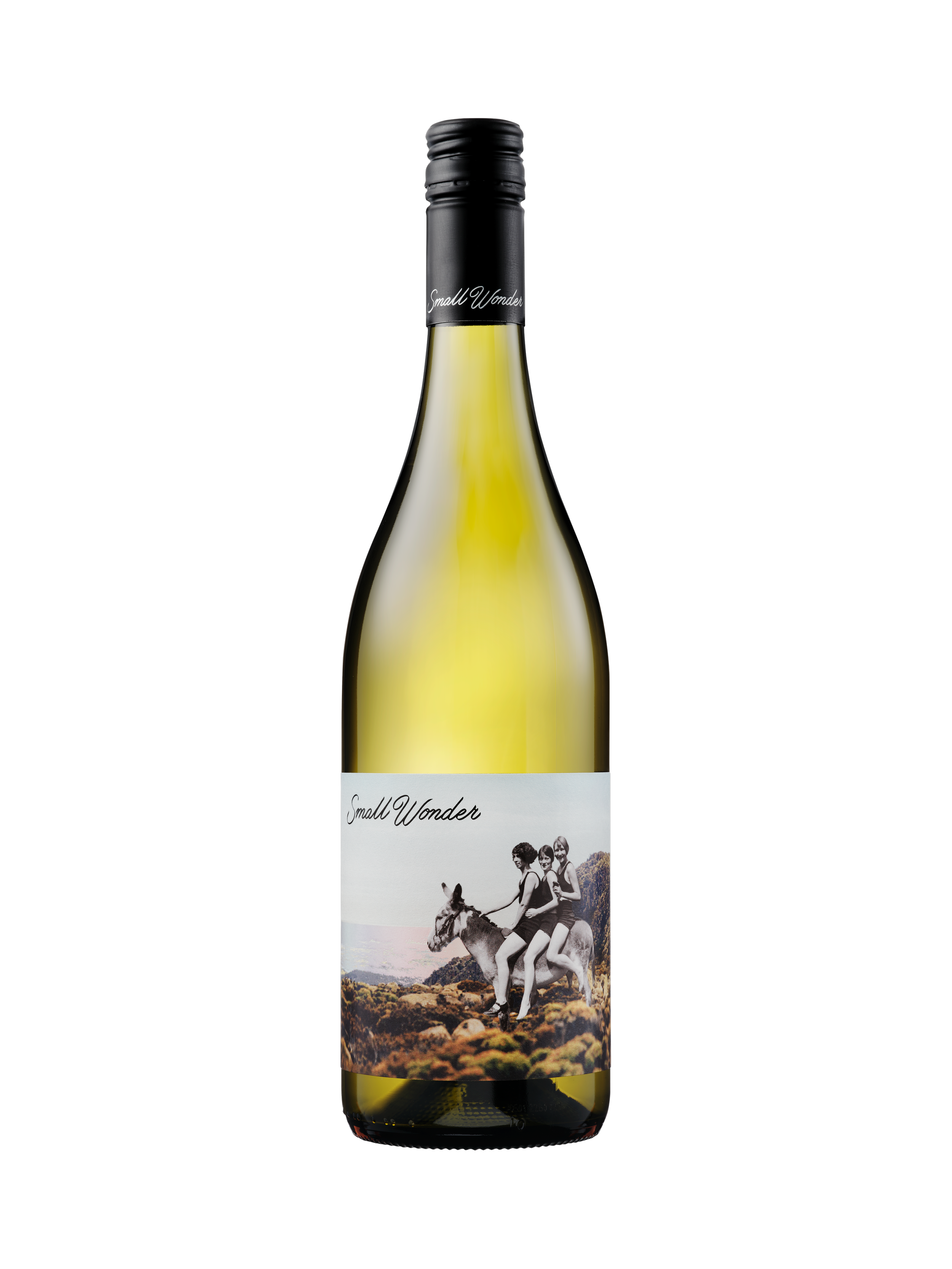 Small Wonder Chardonnay | Tasmania