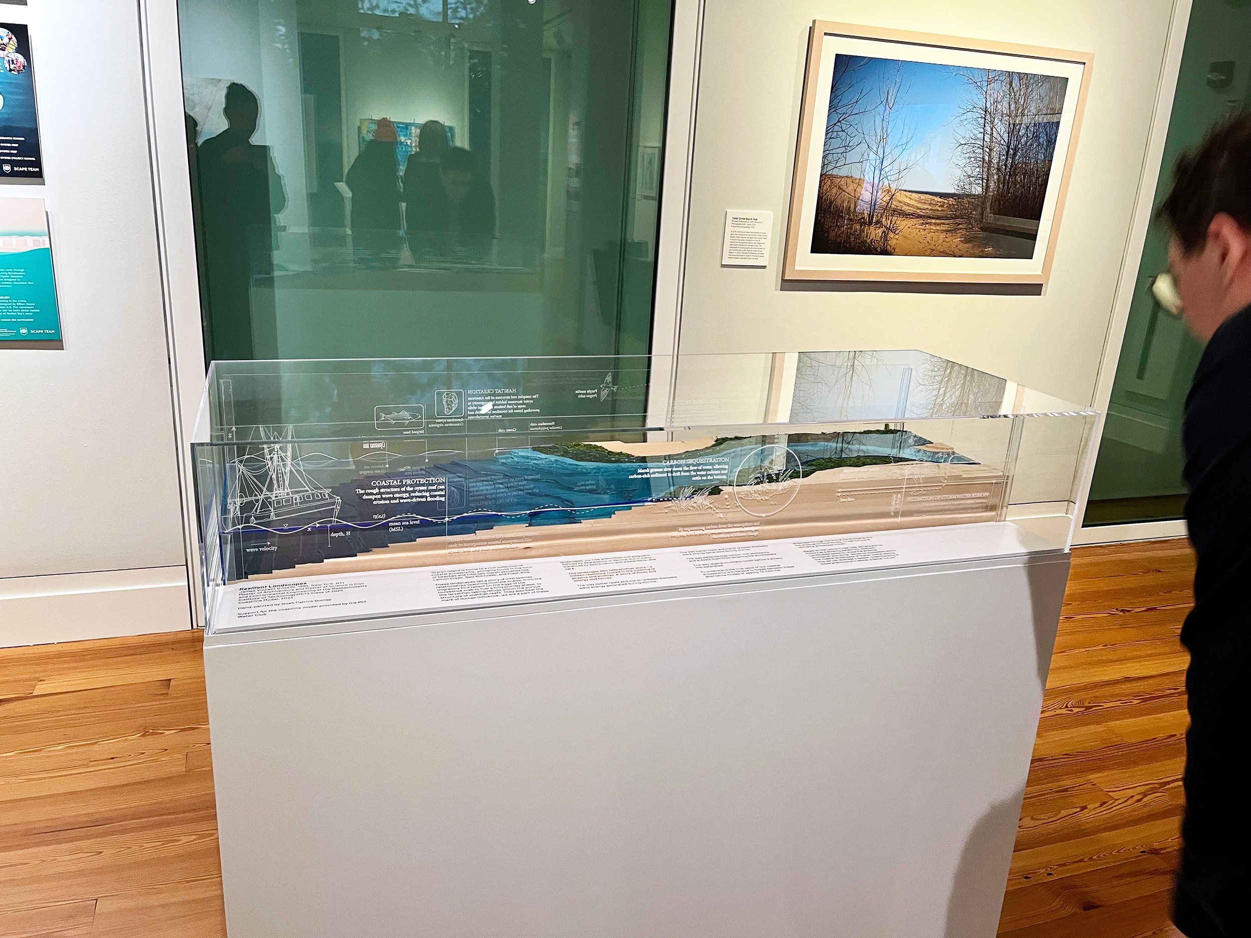 Coastline model (wood, acrylic) titled "Resilient Landscapes" installed at the Staten Island Museum for the 2024 exhibition Vulnerable Landscapes