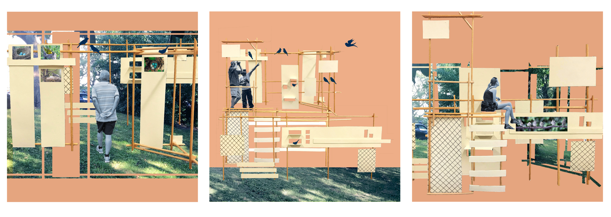 collage triptych.png
