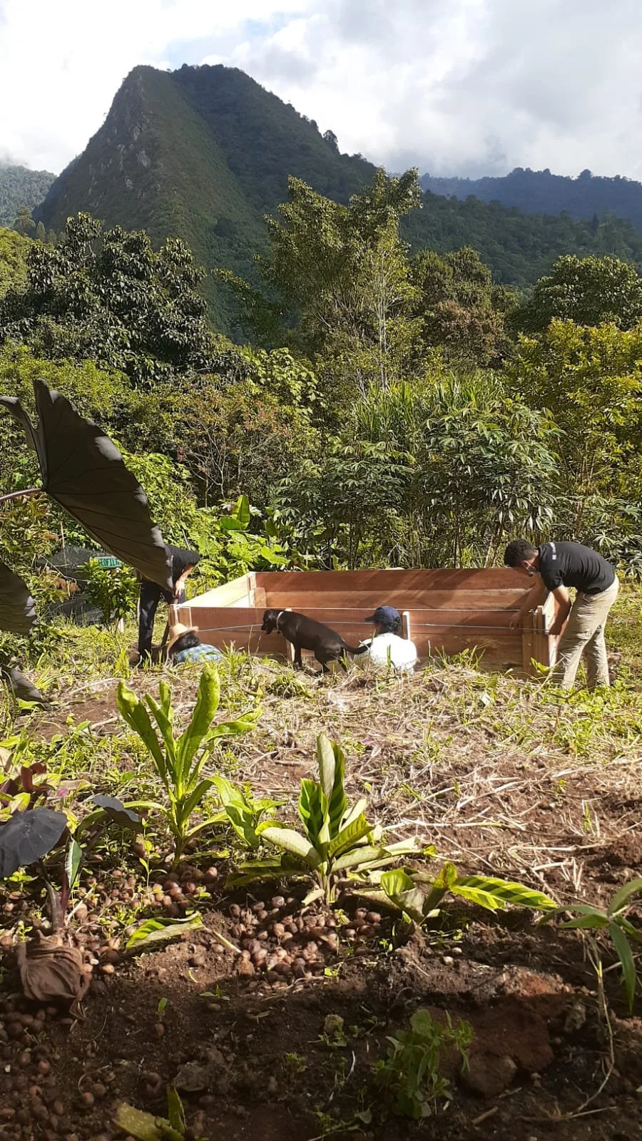 WhatsApp Image 2022-06-10 at 4.18.32 PM.jpeg