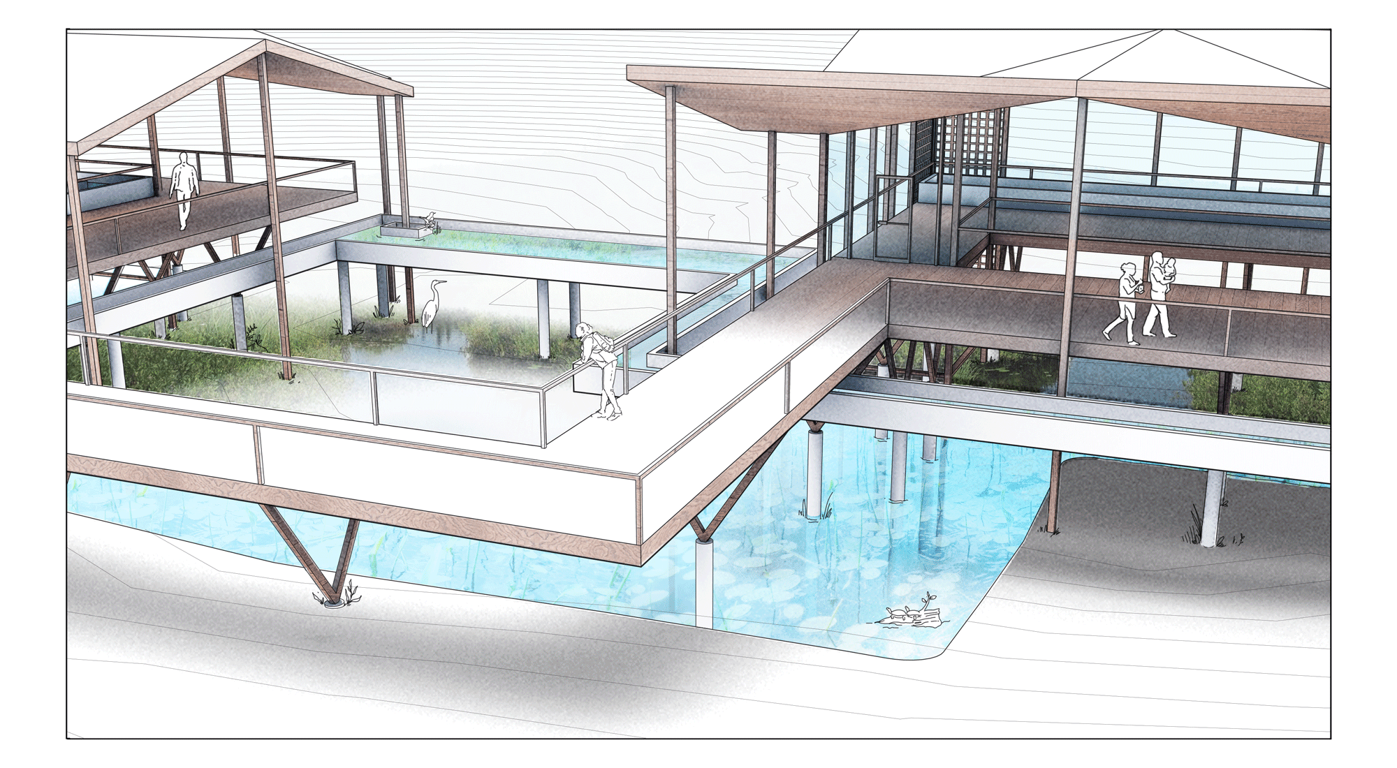 JB_Wetland Rehabilitation Center.gif