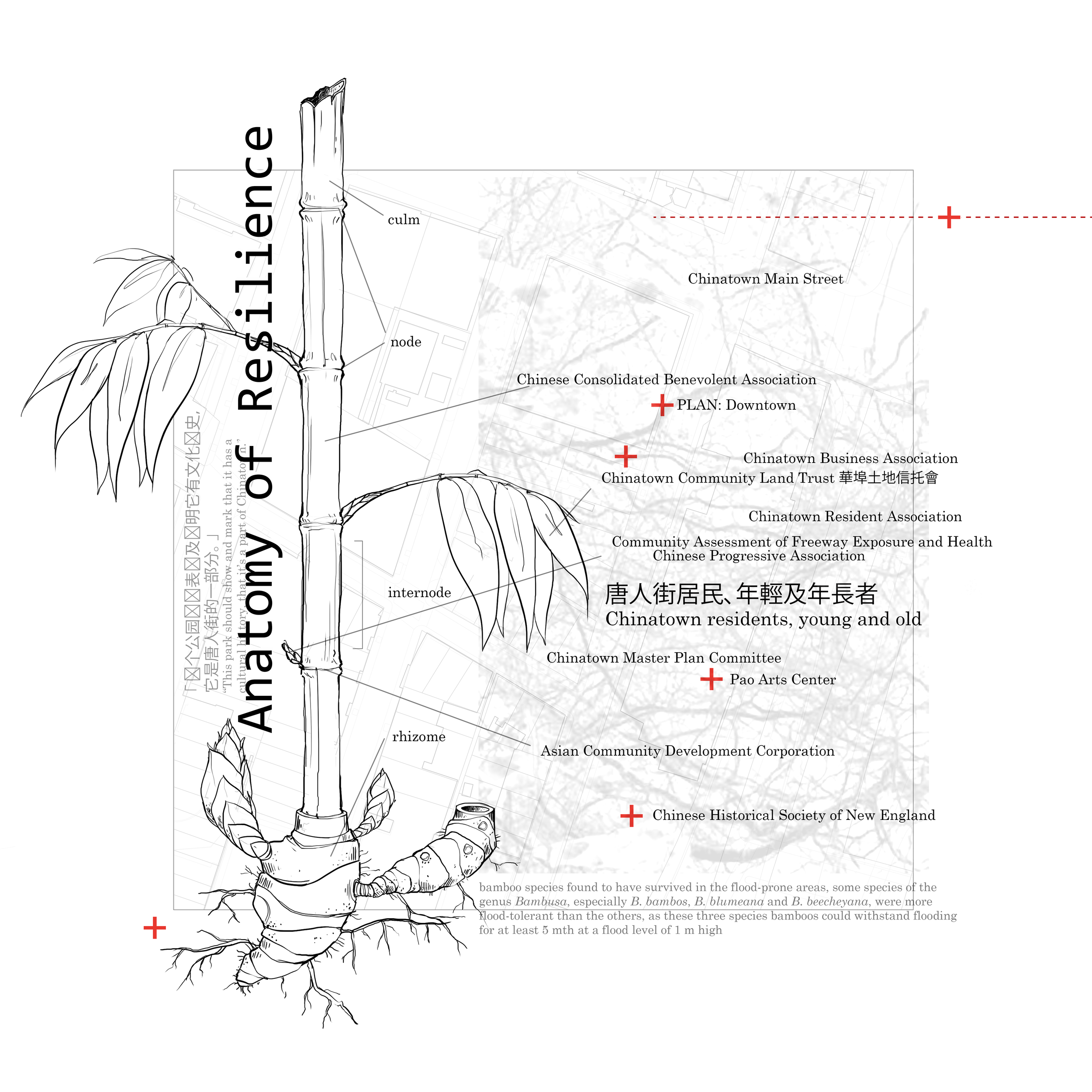synthesis drawing 2.6.png
