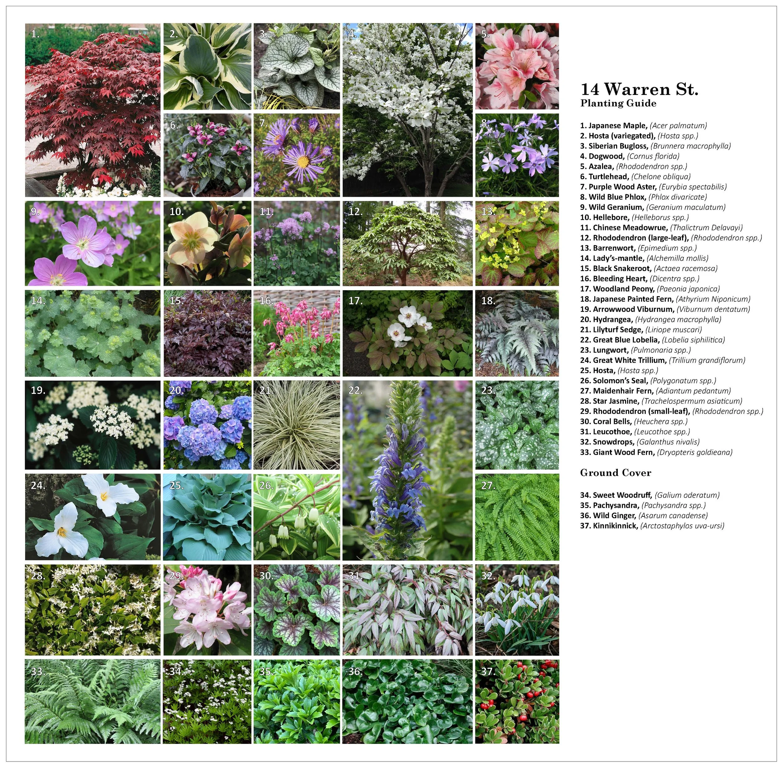 14 Warren St. pg2.jpg