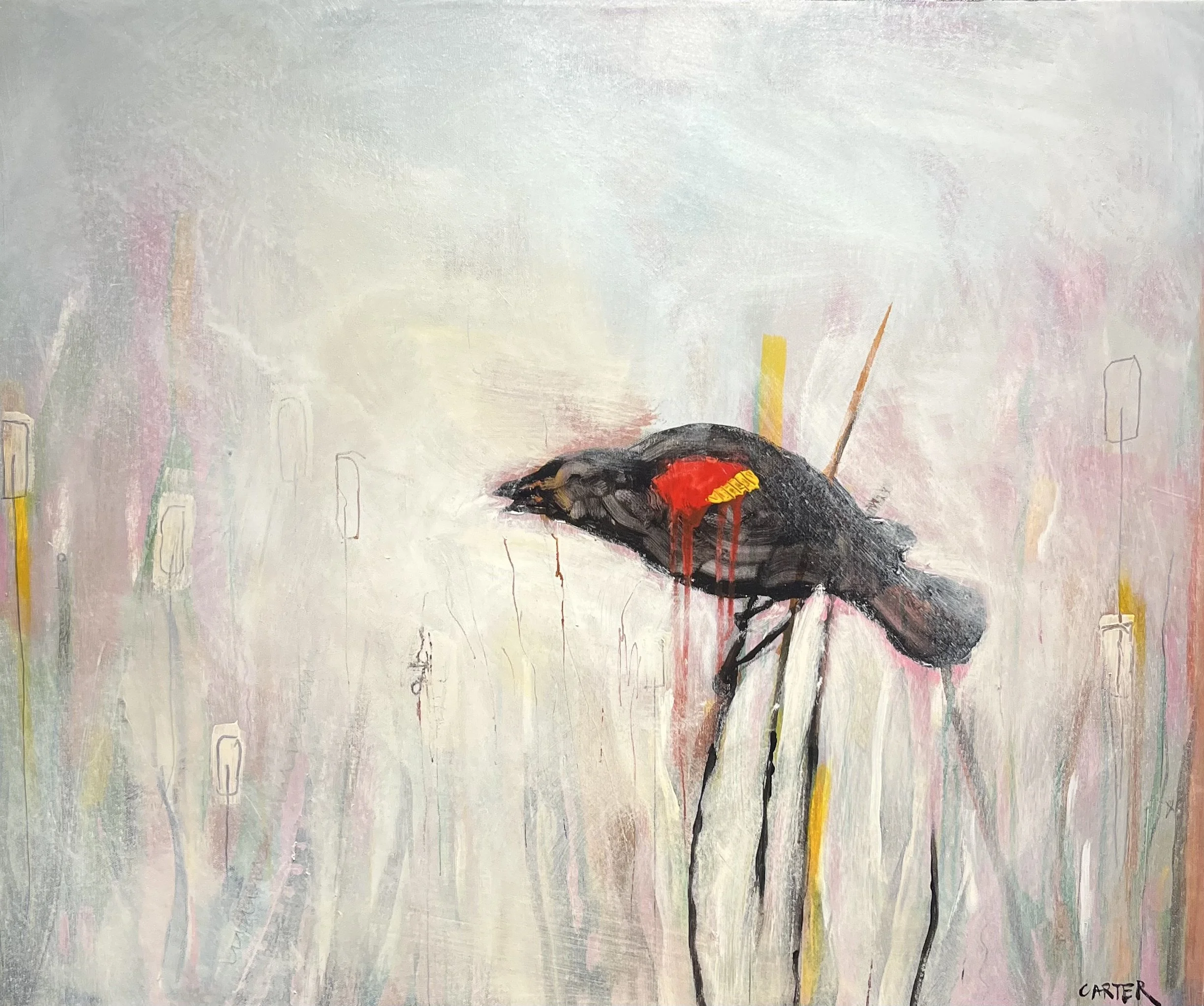 #2 Red Winged Blackbird 24x30 $650