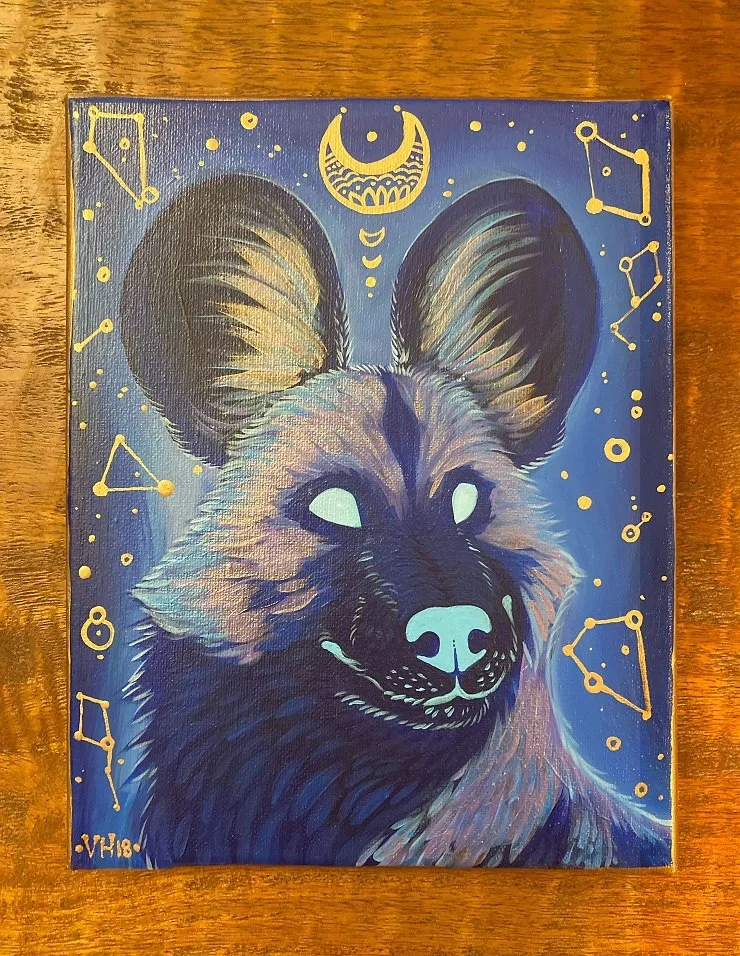 Galaxy Painted Dog