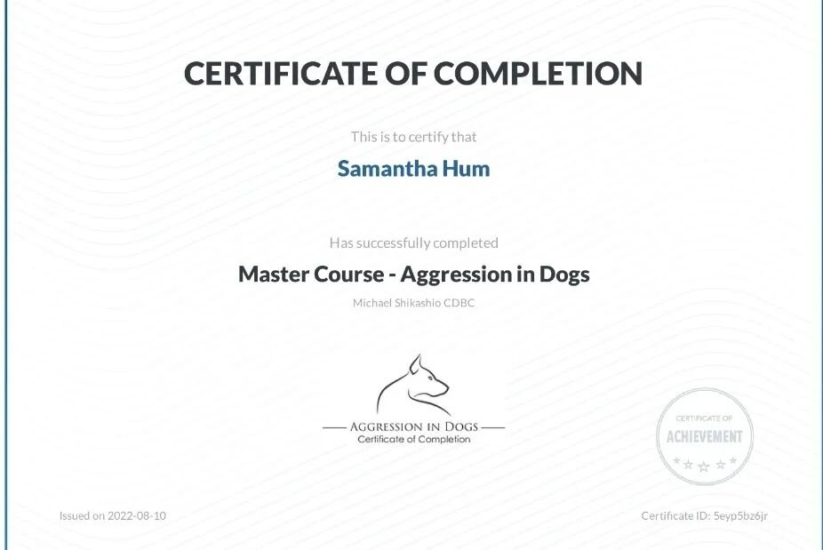 Finally got around to @michaelshikashio aggression in dogs masterclass! So wonderful to know everything that I've been doing right and add some new skills to further help my clients! 

If you've been considering this program, it really is great! I hi