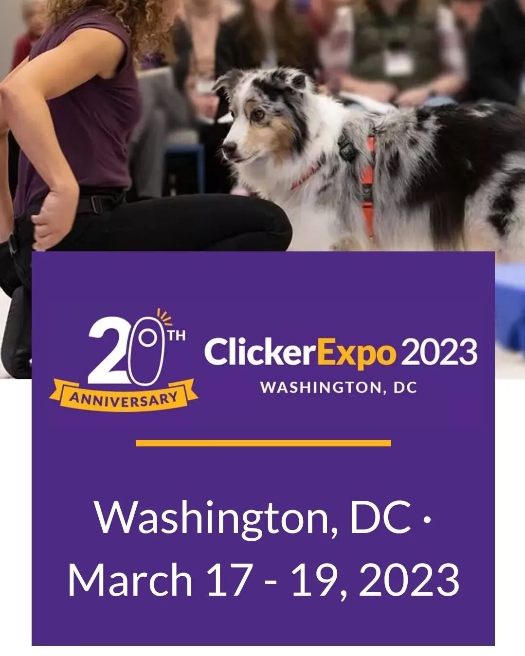 I am attending #clickerexpo2023 

This means that I will be in seminars all day, from the 17th to the 19th, and will not be able to answer any messages.

As a Karen Pryor graduate and Certified Training Partner, we are spending the day behind the sce