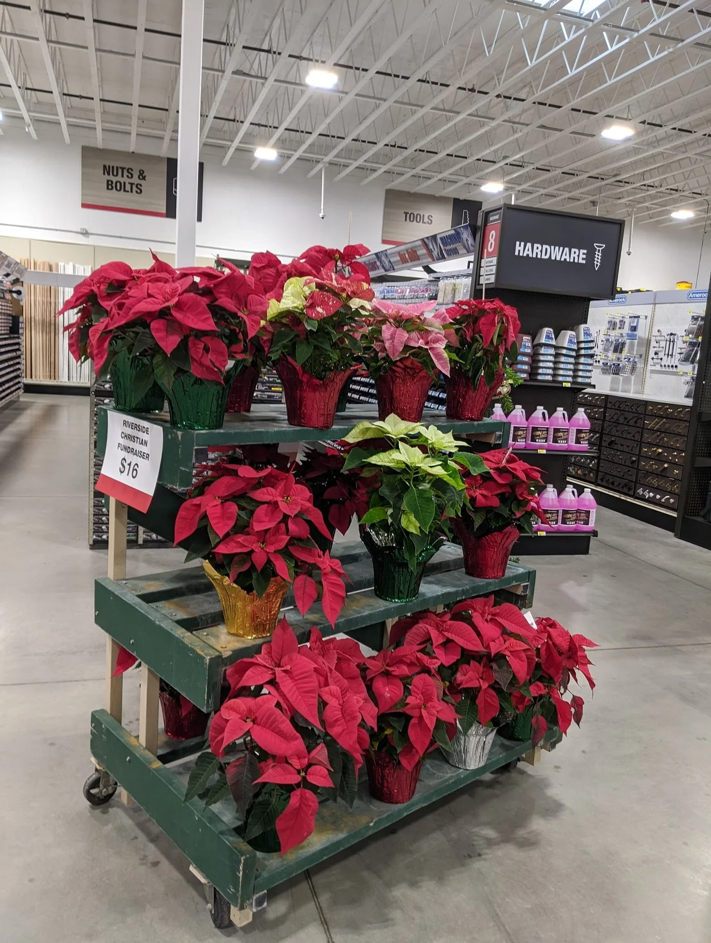 Helm&rsquo;s East Valley Hardware still has beautiful Christmas poinsettias for sale! These gorgeous holiday plants are $16/each and proceeds will support RCS. 

We are so grateful for the support of @helmseastvalley and our Riverside Christian commu