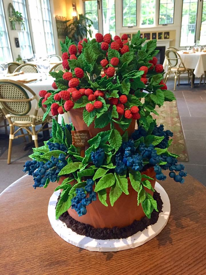 berry cake