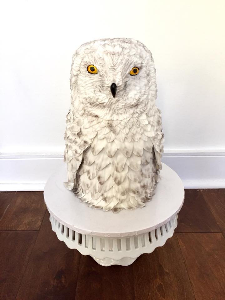 snowy owl cake