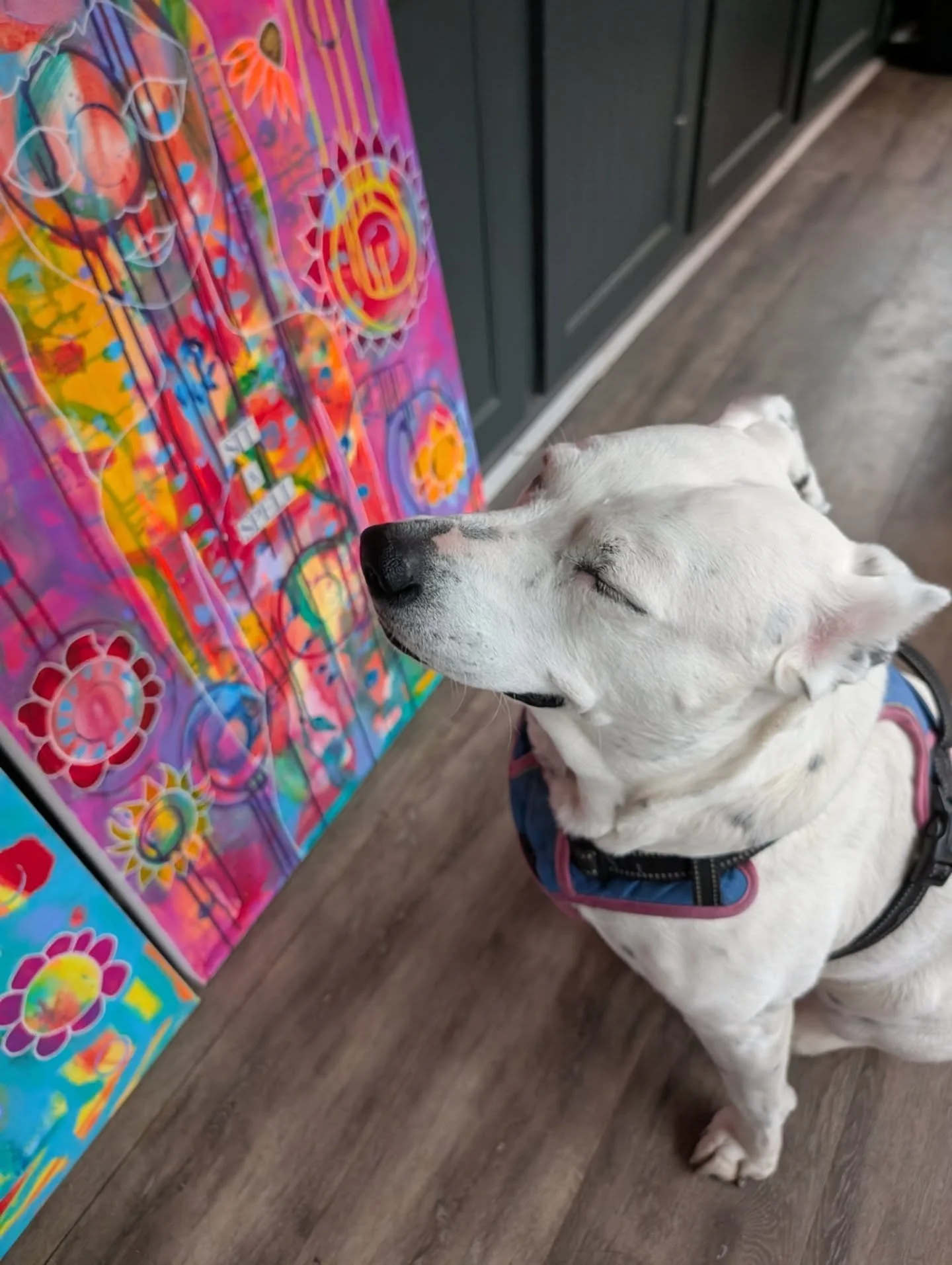 Y'all, LOOK at sweet, Chicken! A complete state of zen looking at my art! I met this beautiful dogger yesterday while meeting a lovely friend and hanging out @coffeeparkairstream

I have two art markets coming up and can't wait to connect over art, s