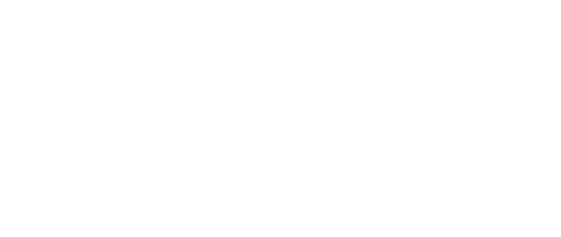 The Mogan Brothers Band