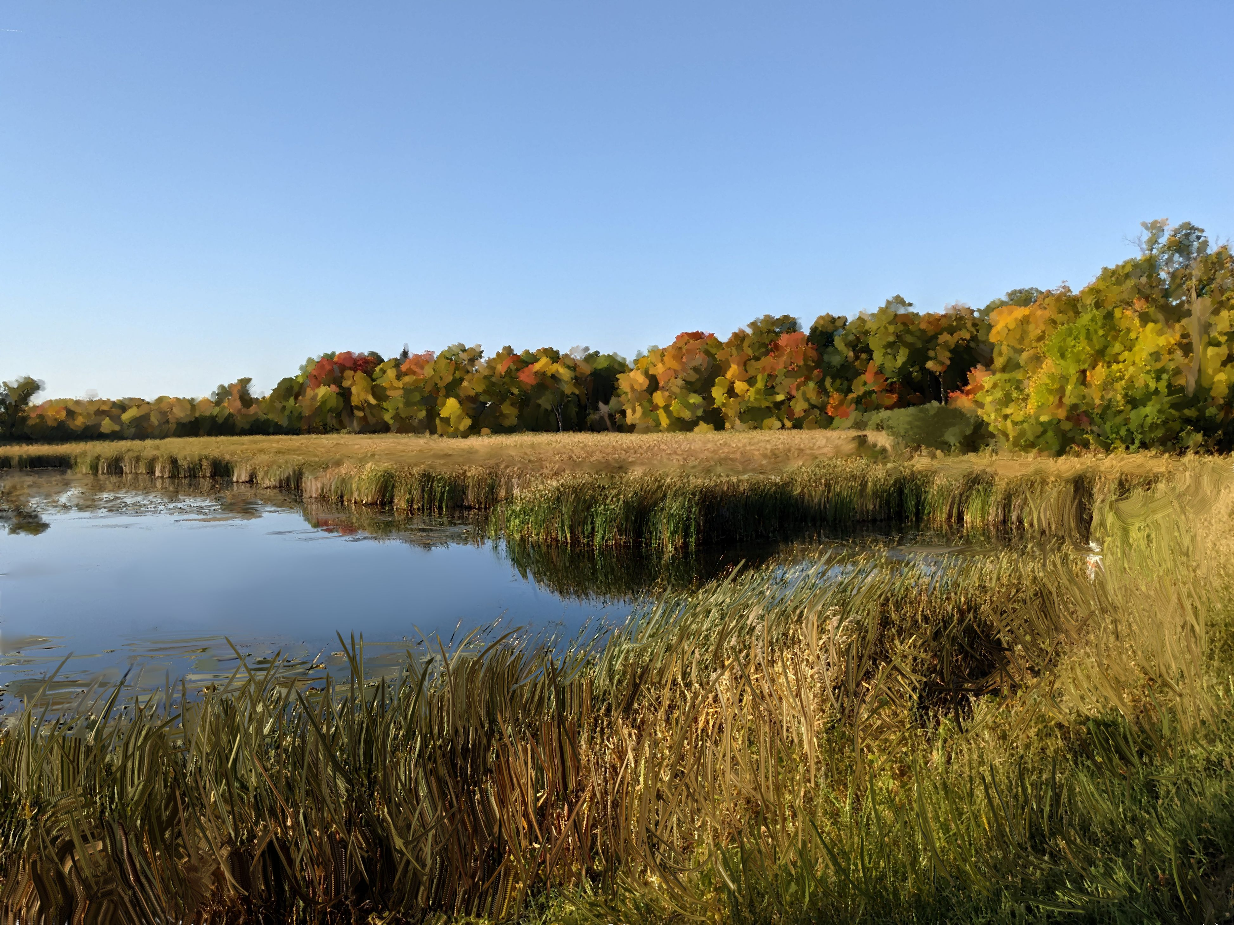 Digital art piece. Location, Lake Alvin in Minnesota, Fall of 2021.