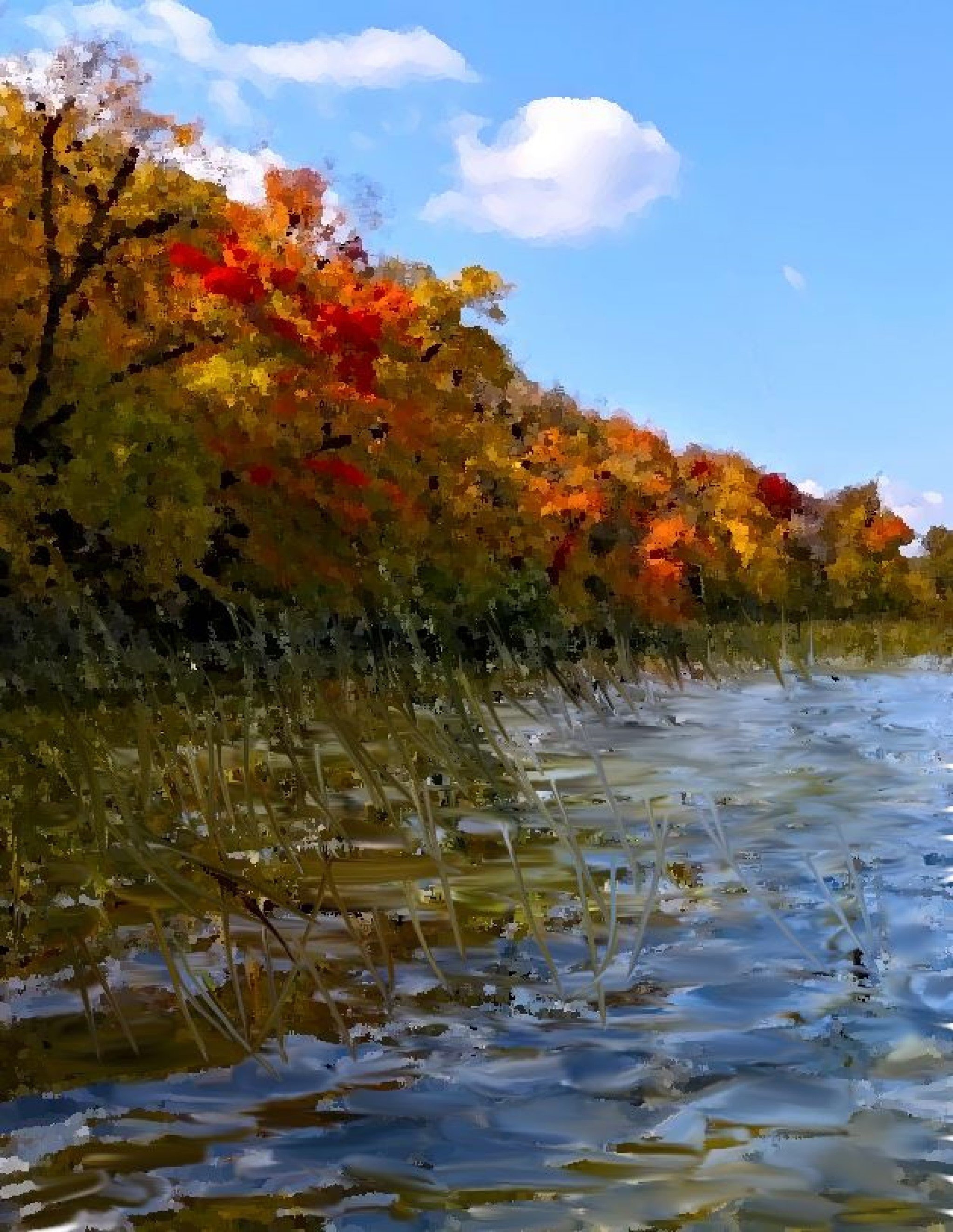 Digital art piece. Location, Lake Alvin in Minnesota, Fall of 2021.