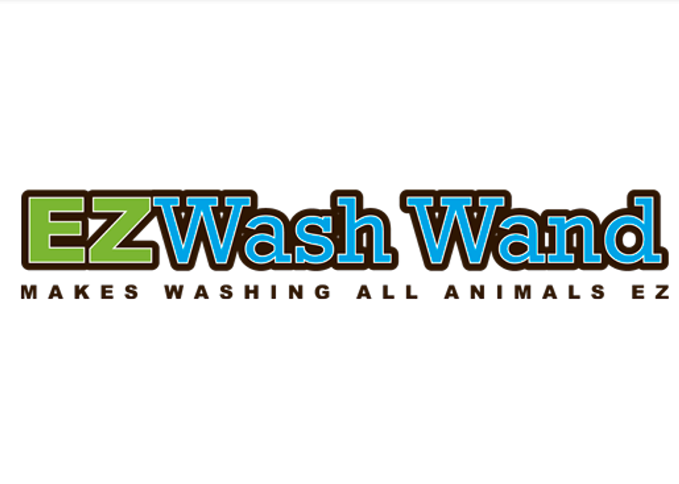 ezwash.PNG