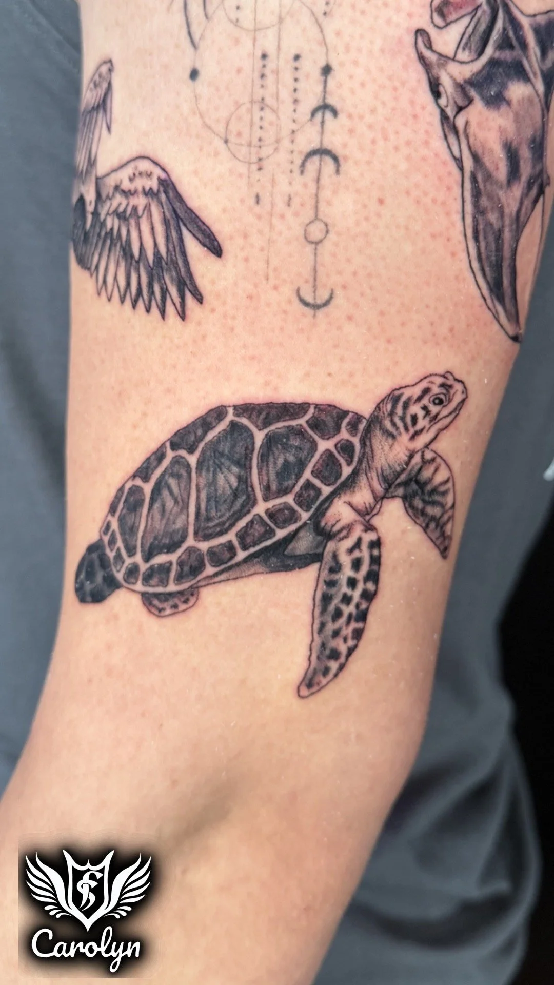 Turtle black and grey realism tattoo by Carolyn Agopsowicz.JPG