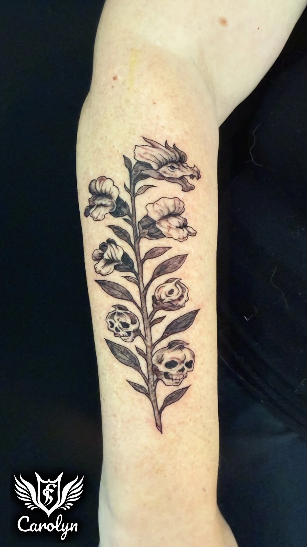 Snap dragon black and grey reaslism tattoo by Carolyn Agopsowicz.JPG