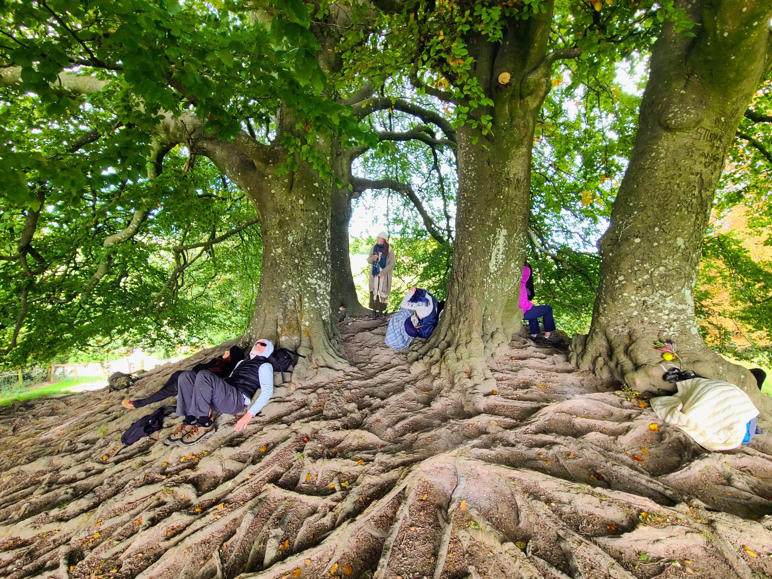 Wishing Tree at Averbury Henge