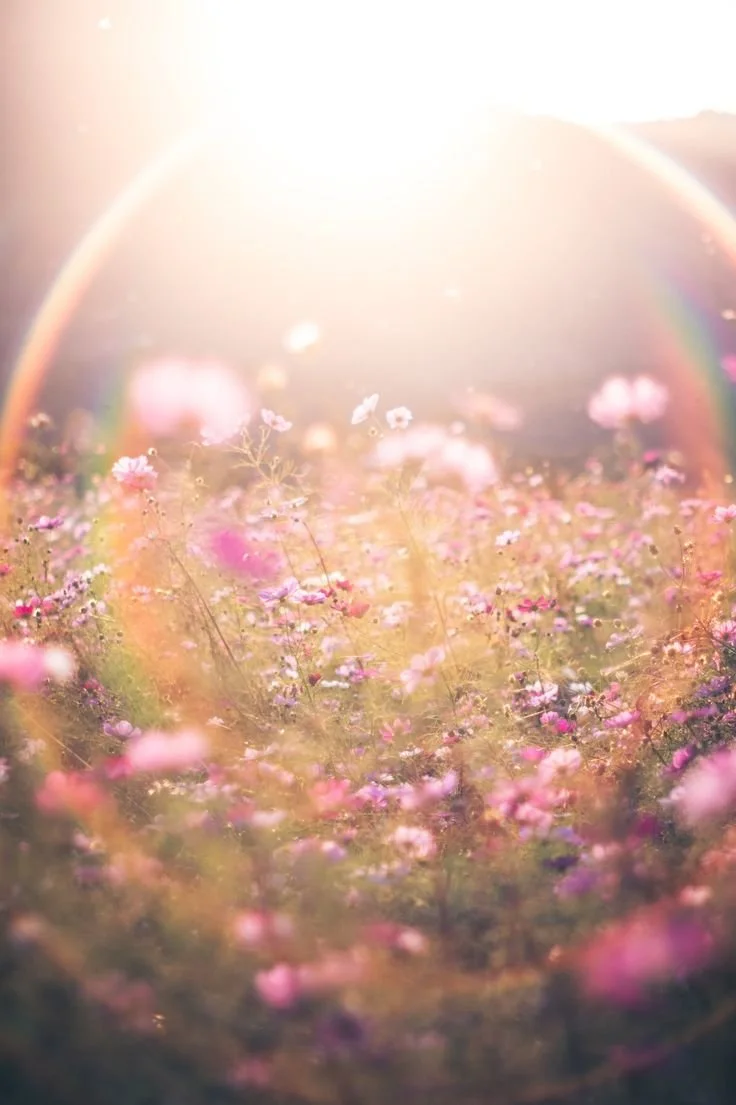 BLOOM 21-Day Awareness Practice