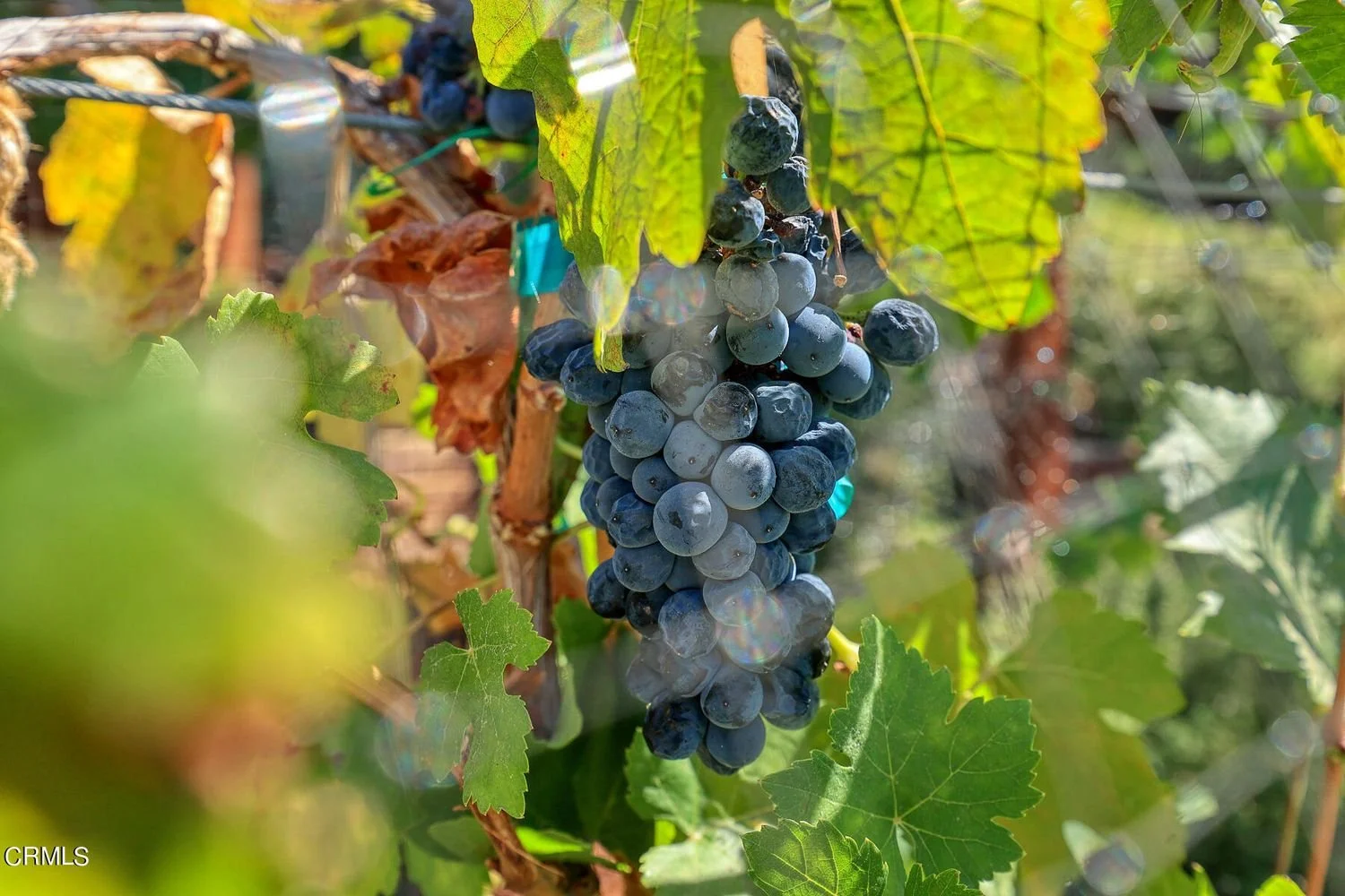 3451 Brookhill St 010.jpg