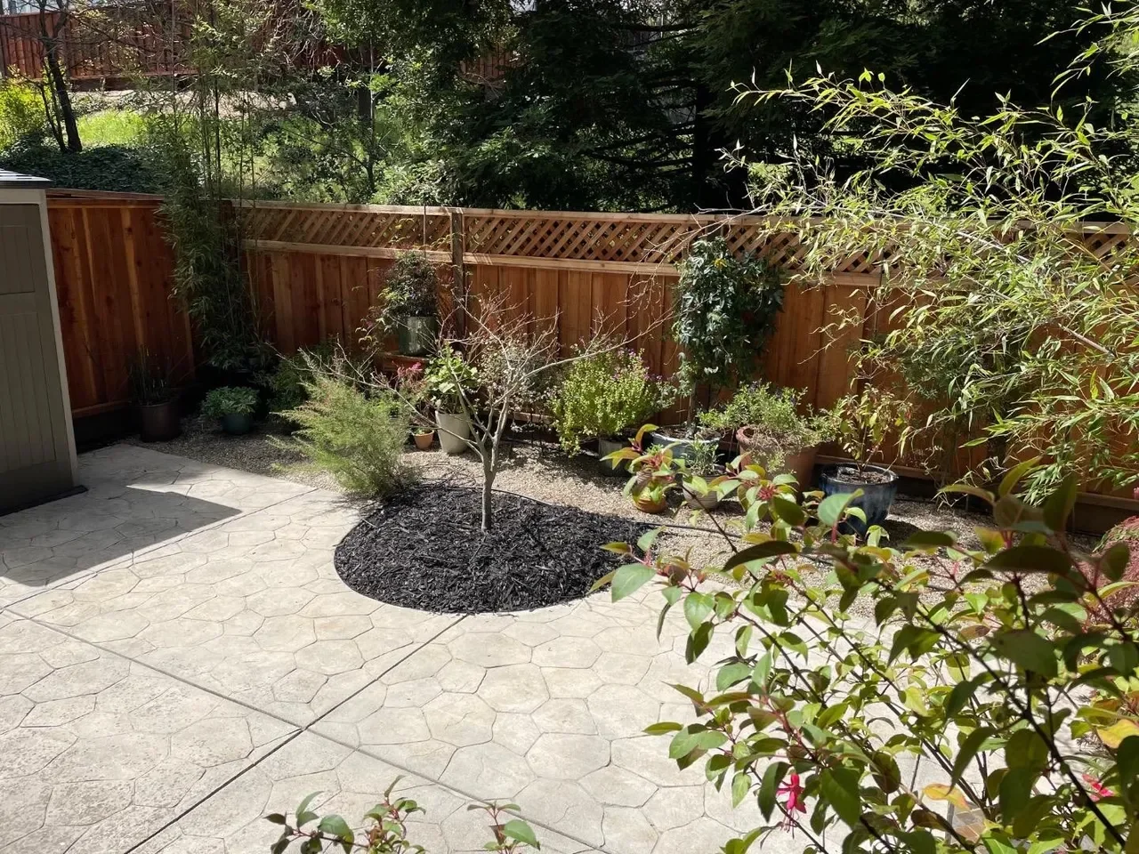 1704 Fountain Springs Cir 028.webp