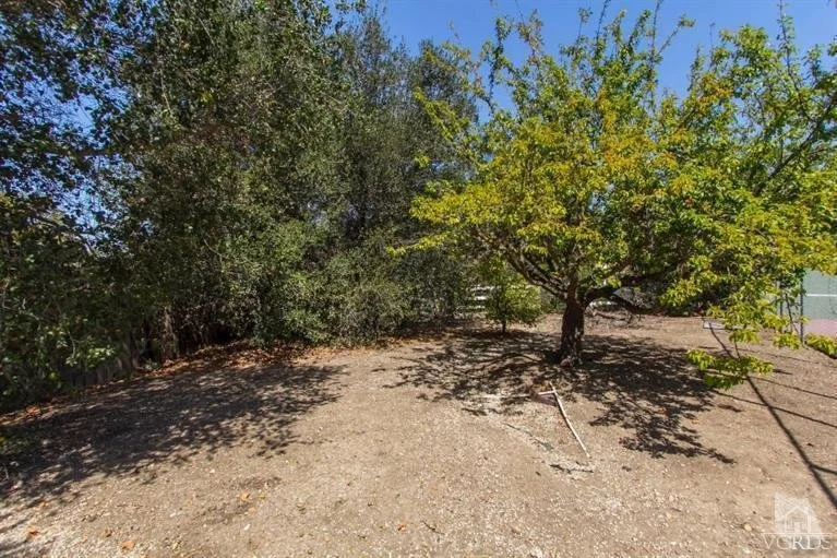 857 Calle Laredo 043.jpg