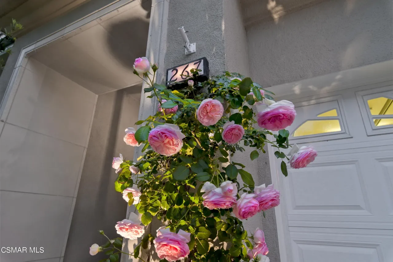 267 Stonecreek Ct 038.webp