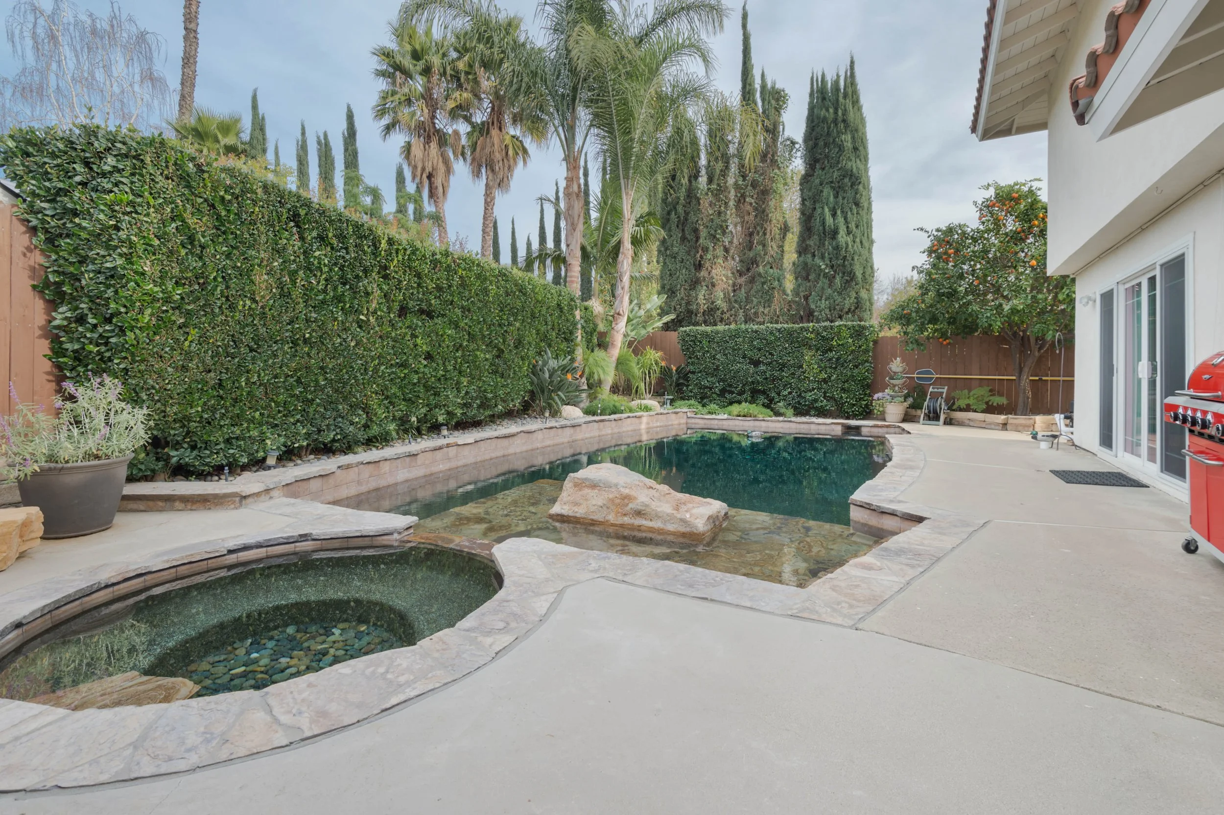 1218 Willowgreen Ct pool4.jpg