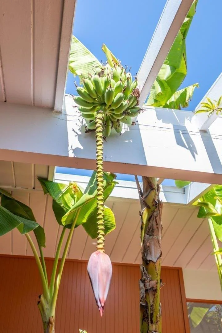 1471 Flamingo Way 027.jpg