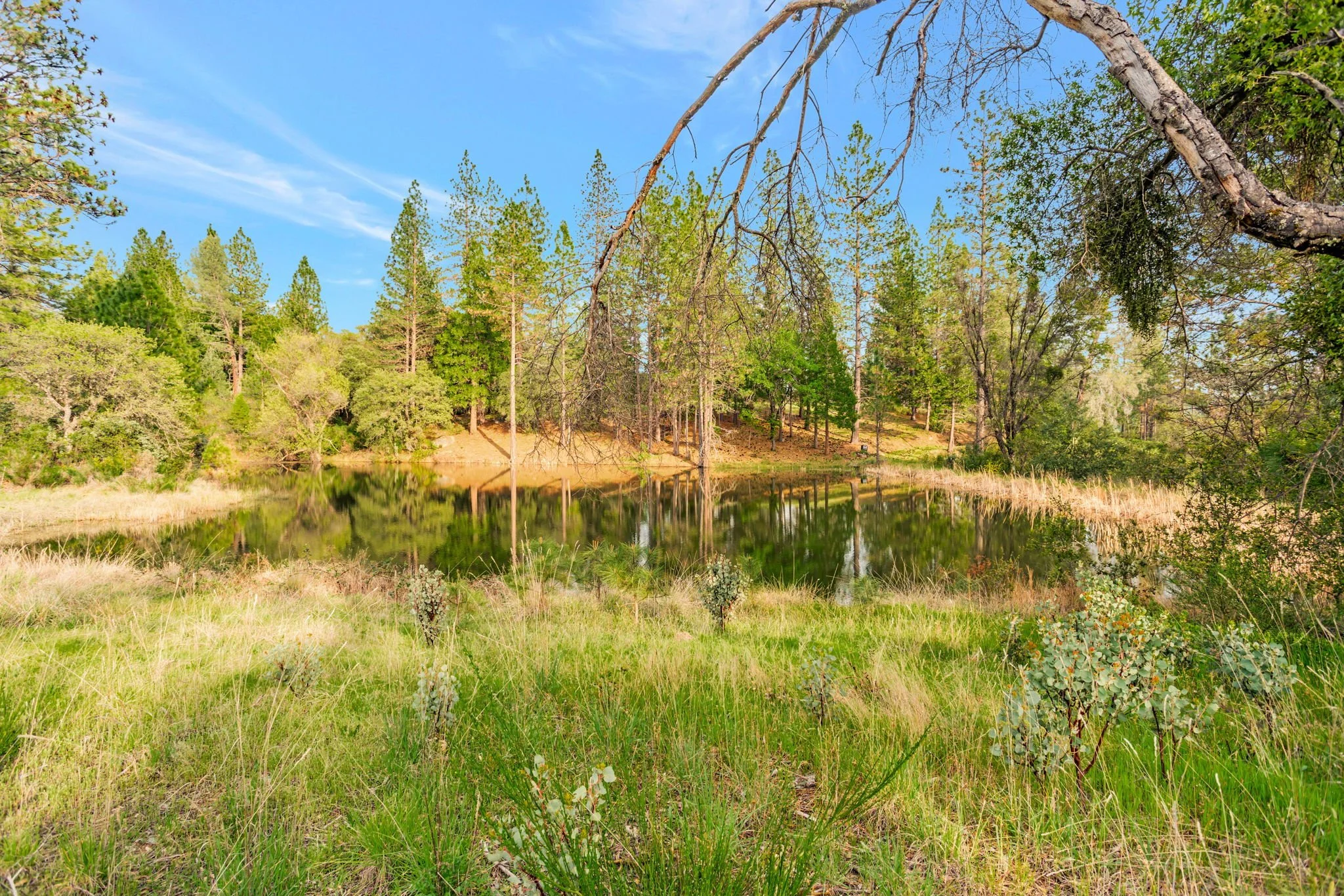 10213 Tyler Foote Rd