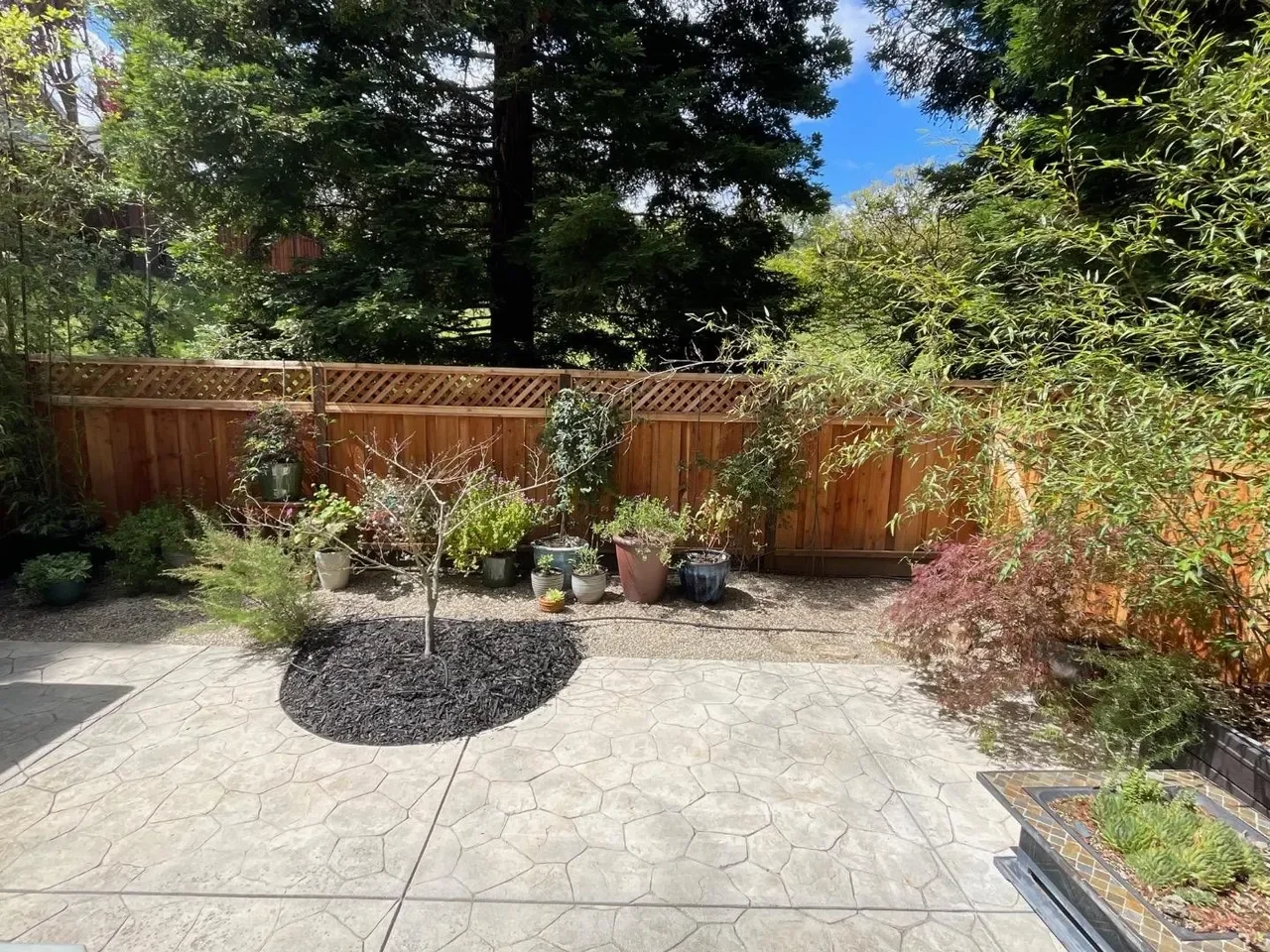 1704 Fountain Springs Cir 027.webp