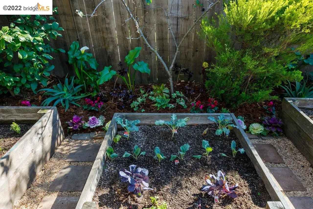 5336 Walnut St 026.webp