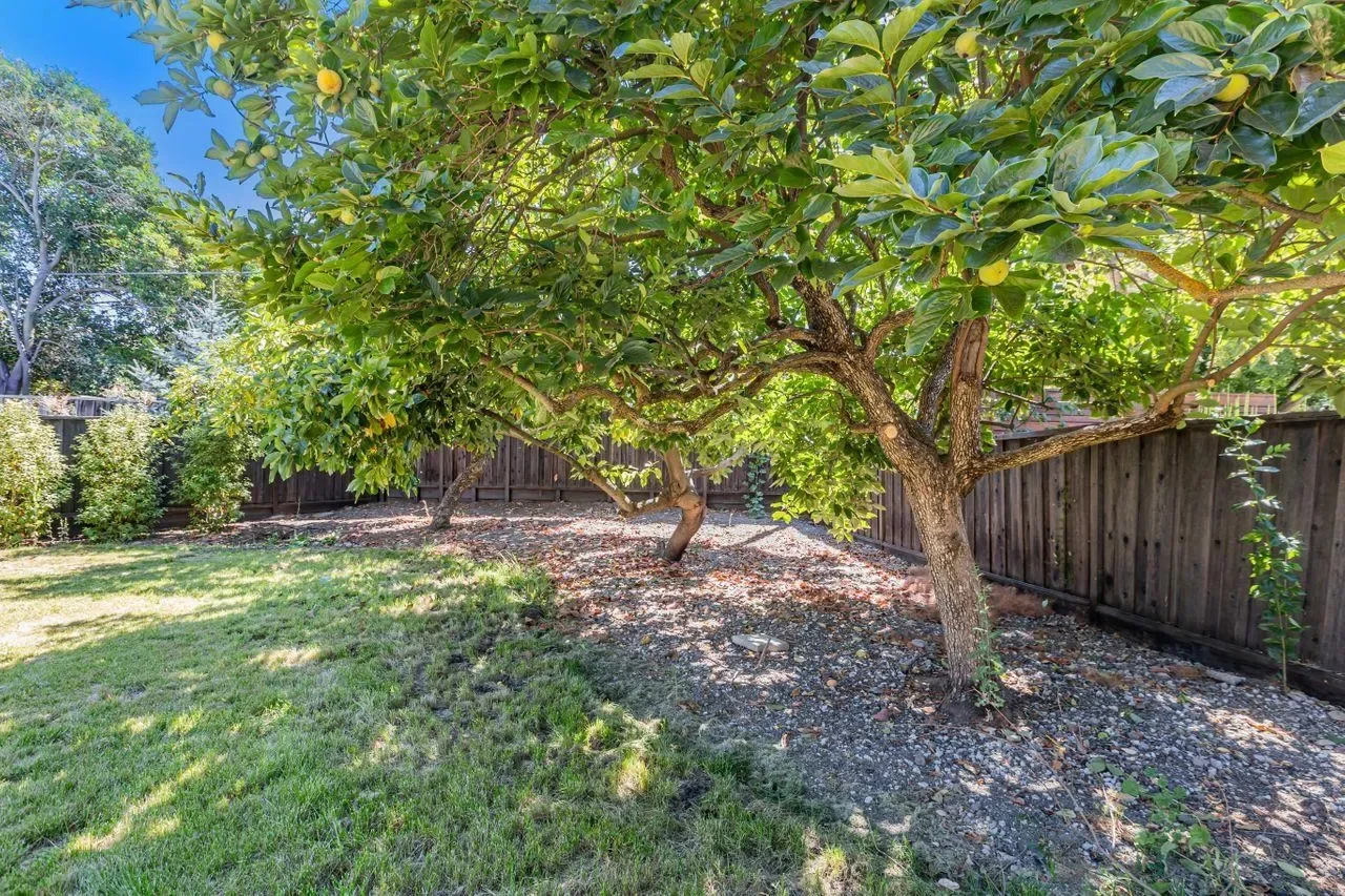 2556 Diericx Dr 043.webp