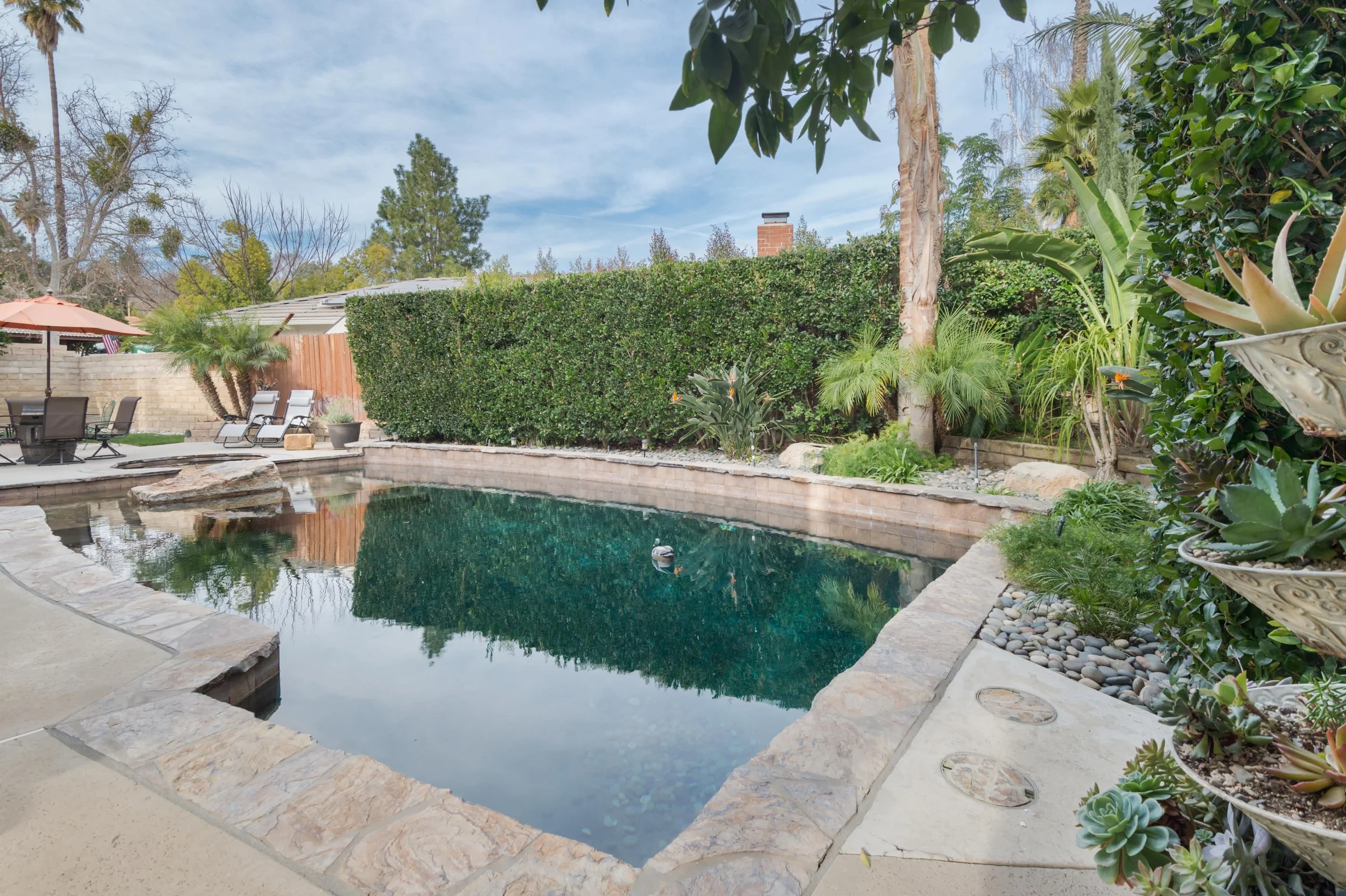1218 Willowgreen Ct pool5.jpg