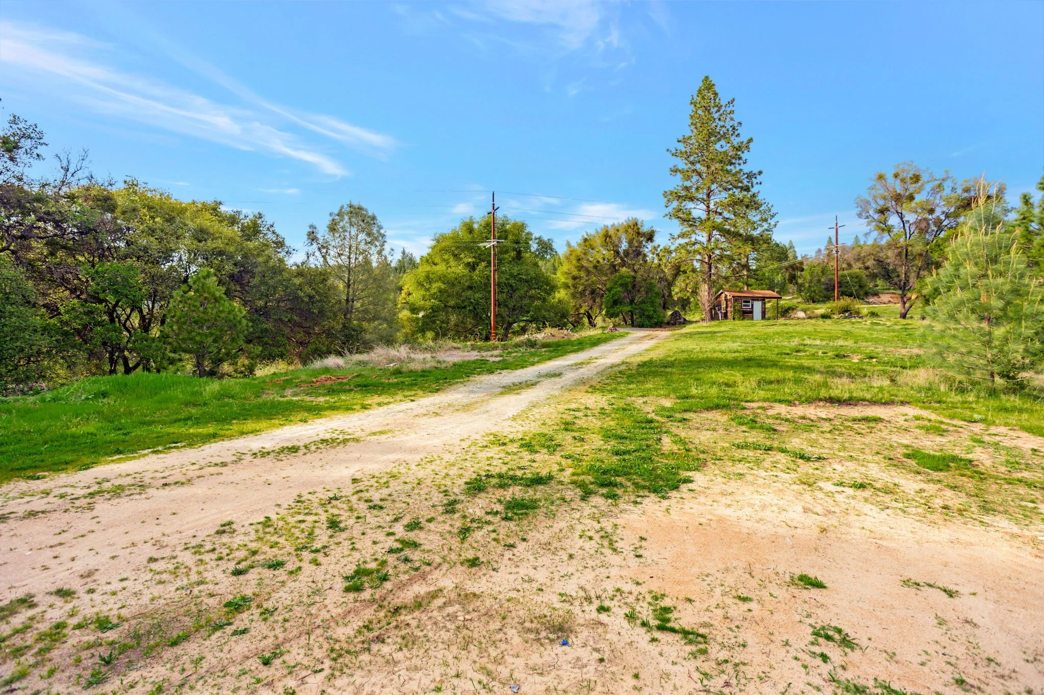 10213 Tyler Foote Rd