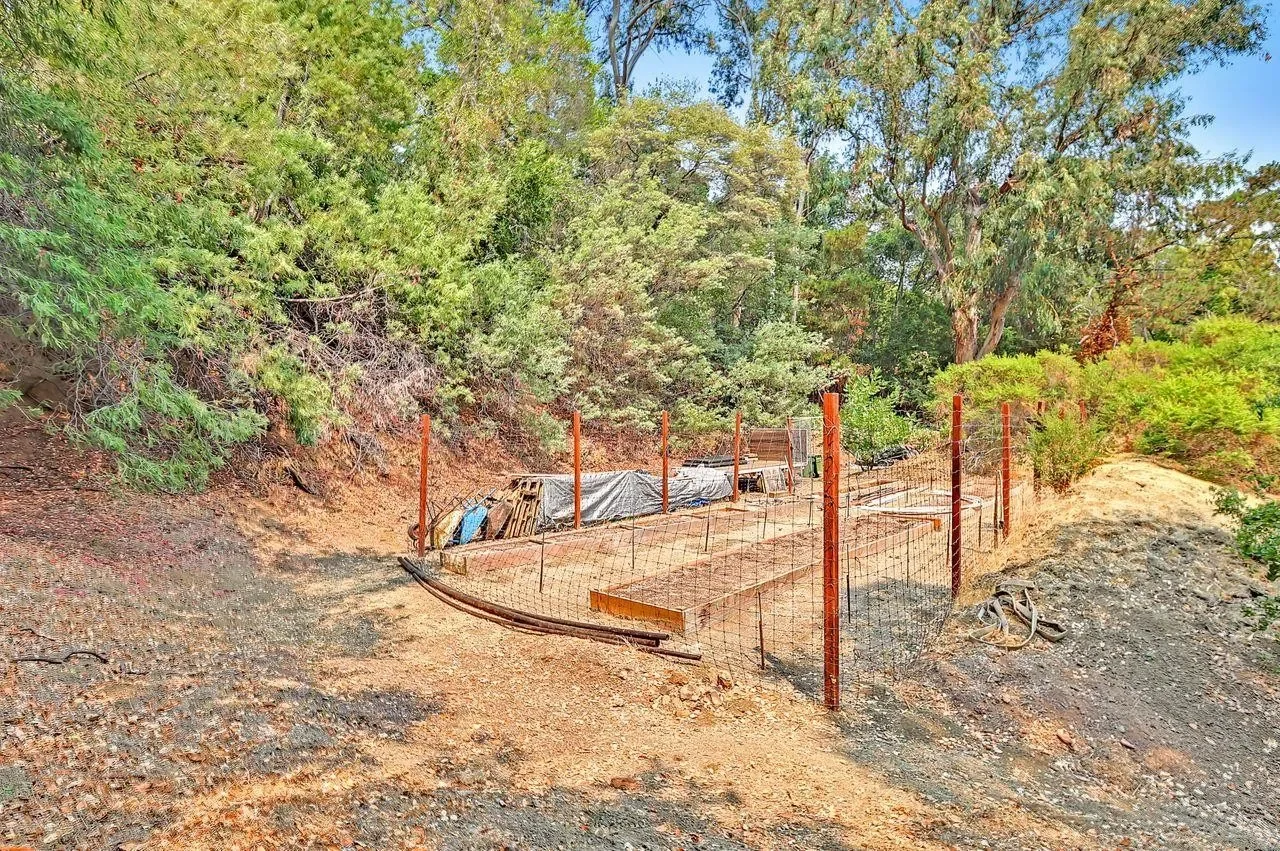 15781 Canon Dr 040.webp