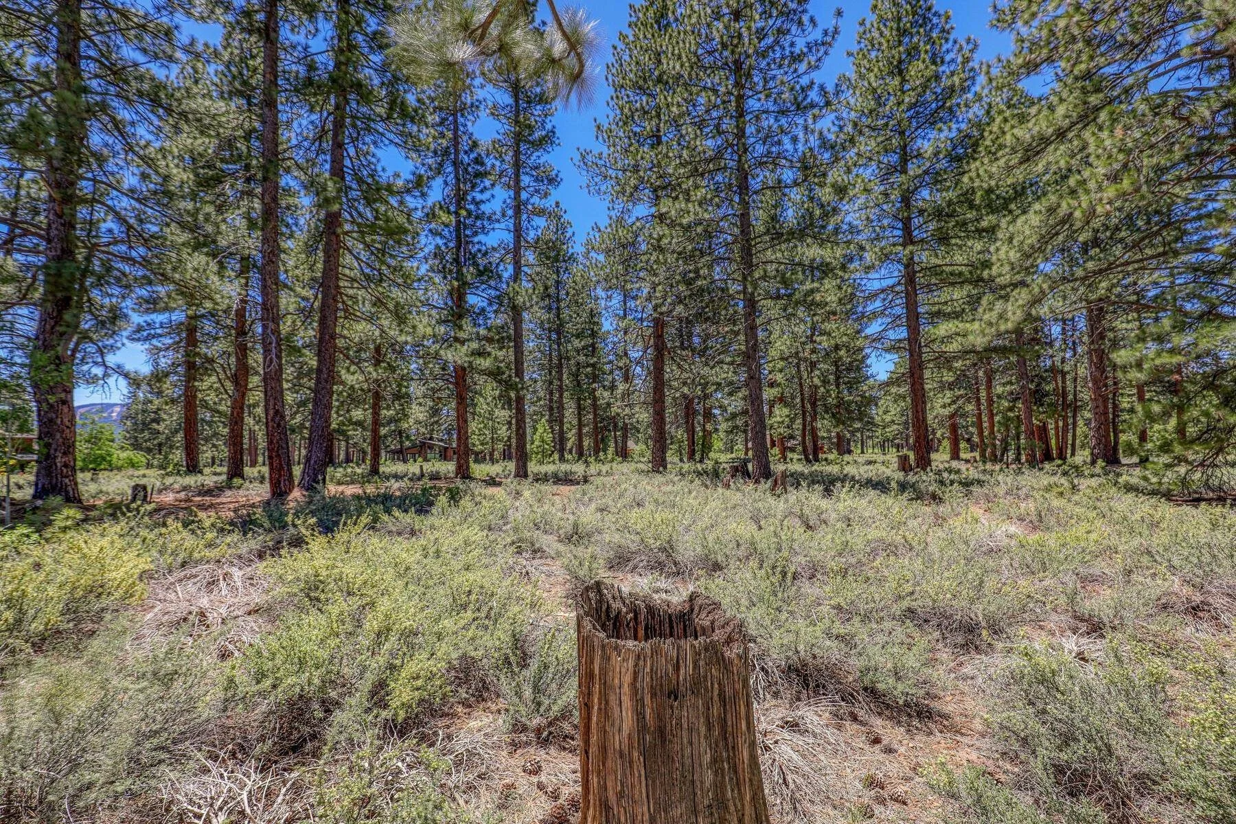 13559 Fairway Dr 013.jpg