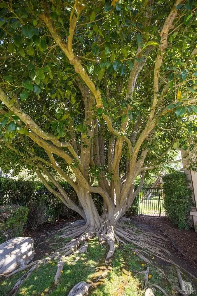 512 Meadowrun St 017.webp